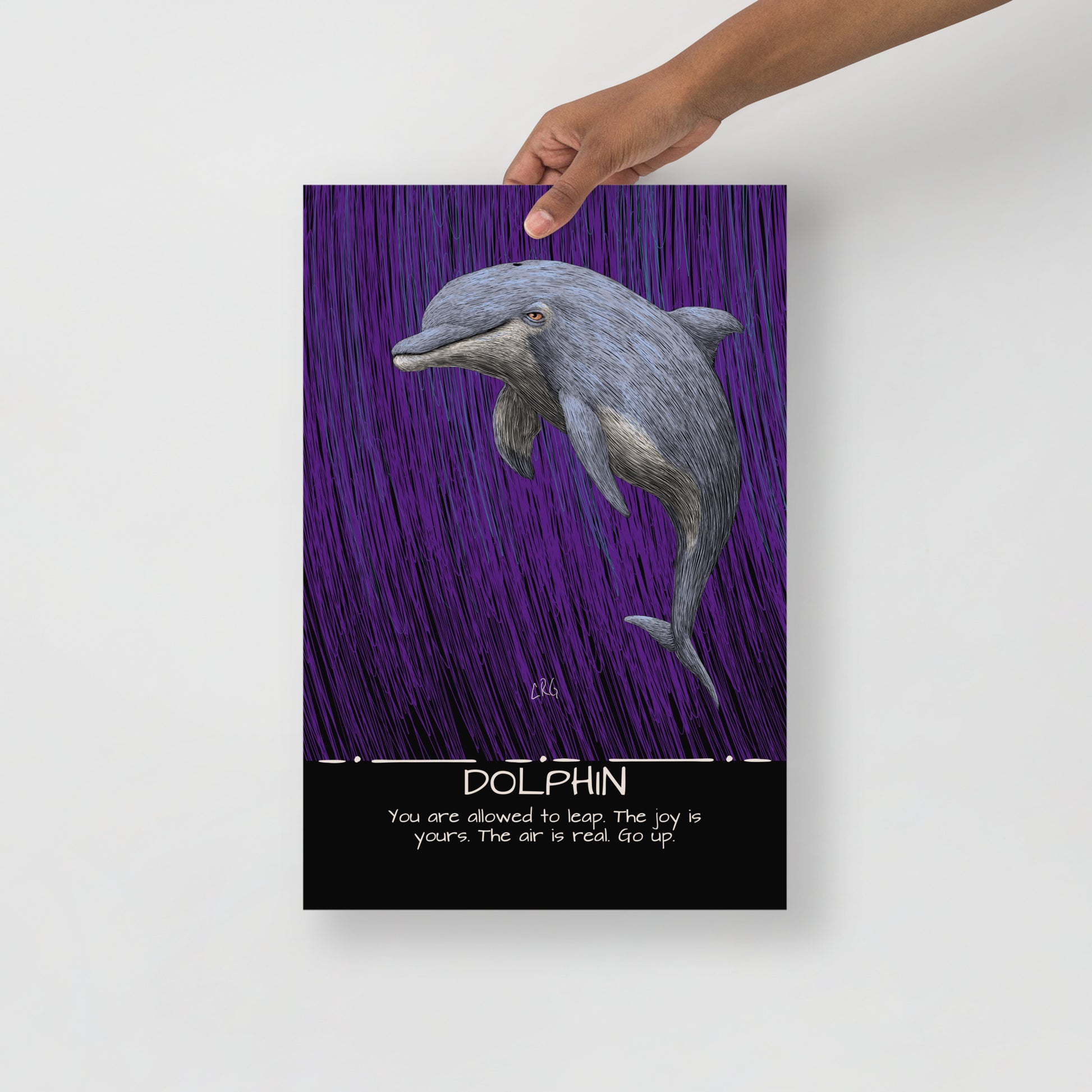 Dolphin Art Print