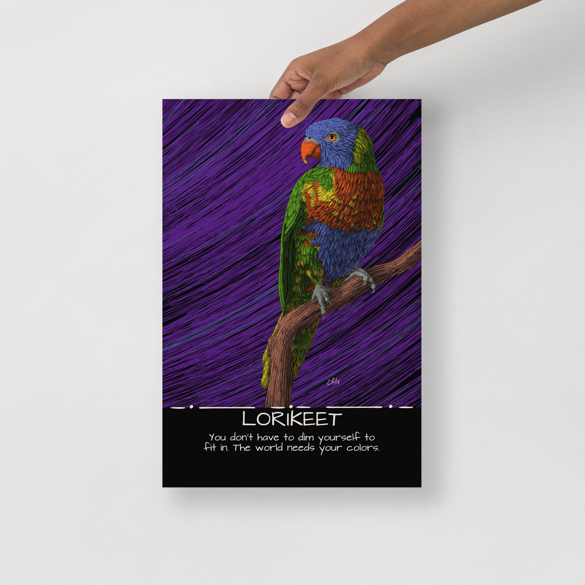 Lorikeet Art Print