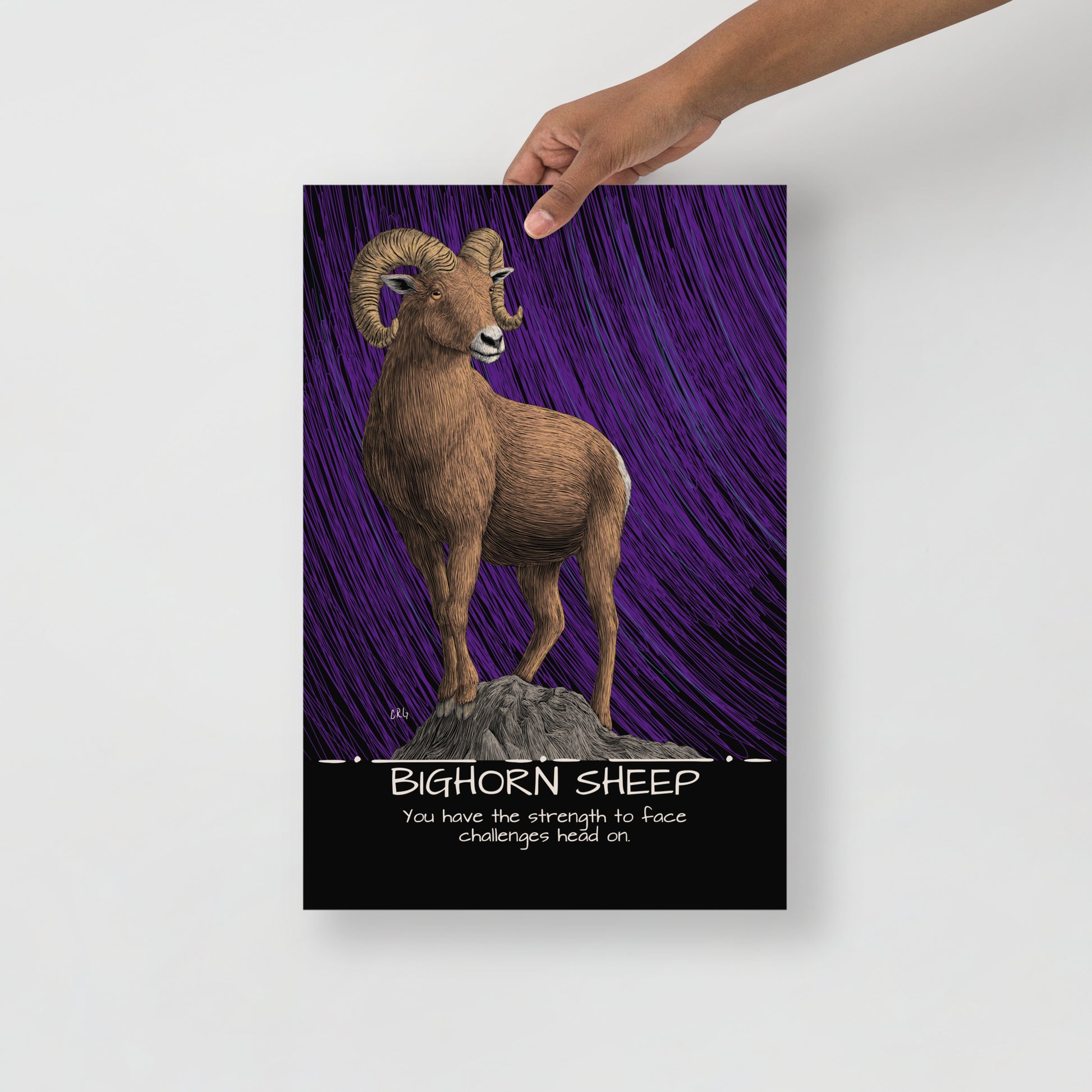 Bighorn Sheep Art Print