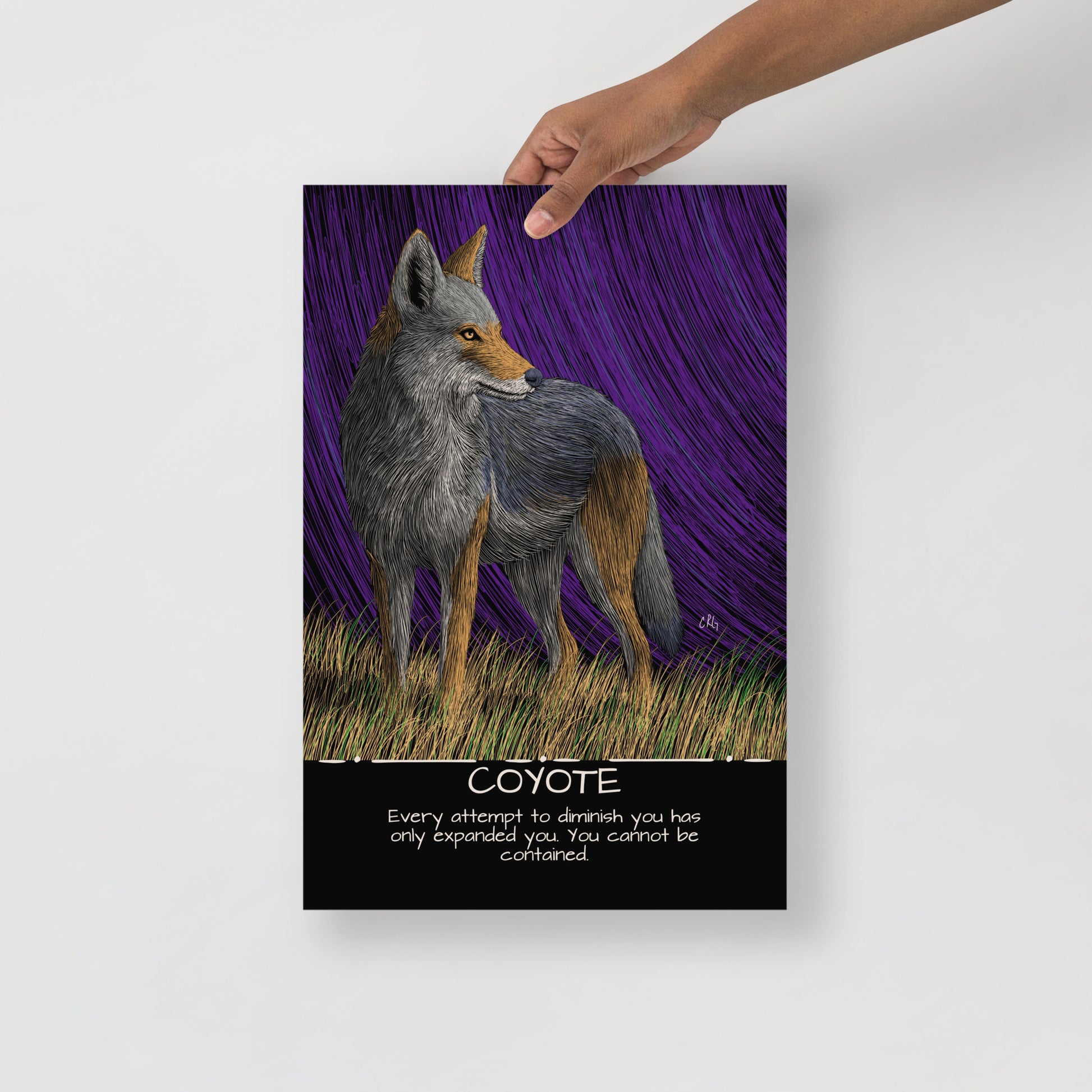 Coyote Art Print