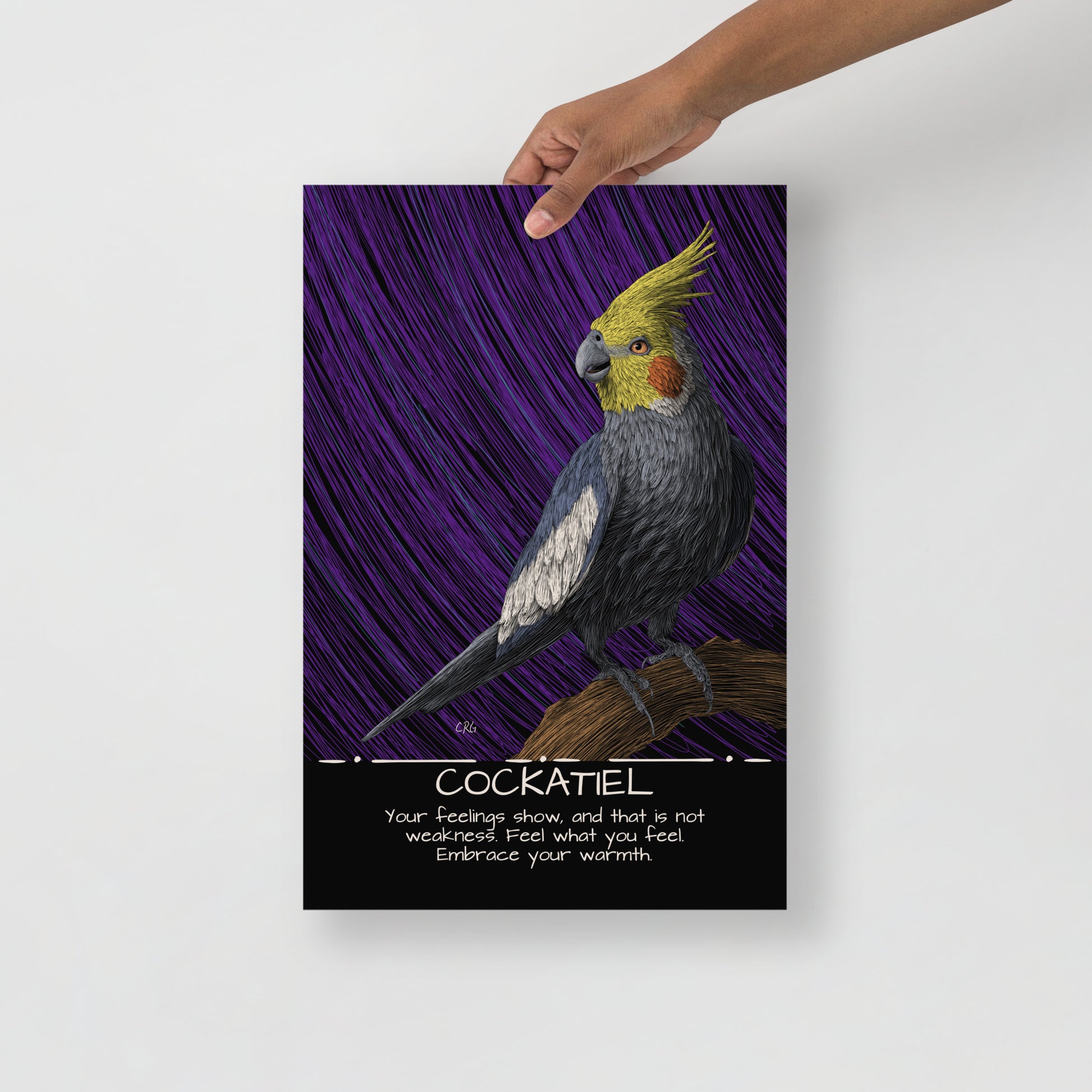 Cockatiel Art Print
