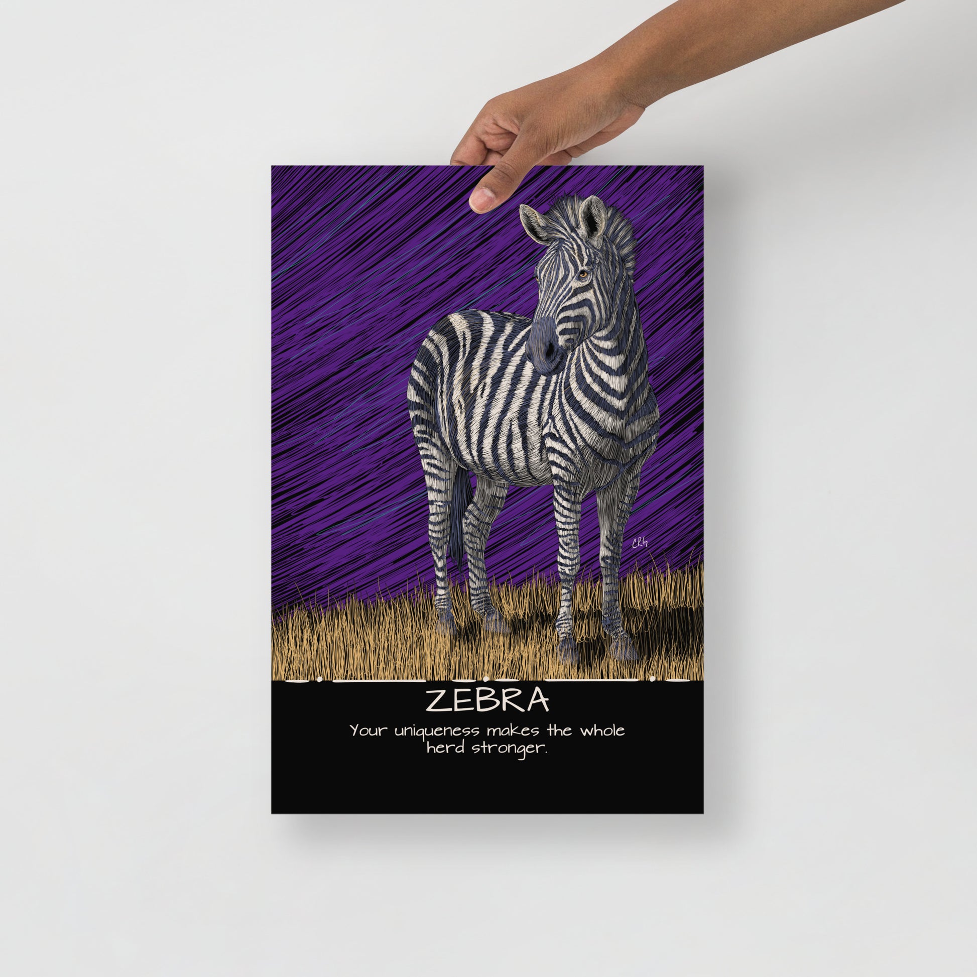 Zebra Art Print
