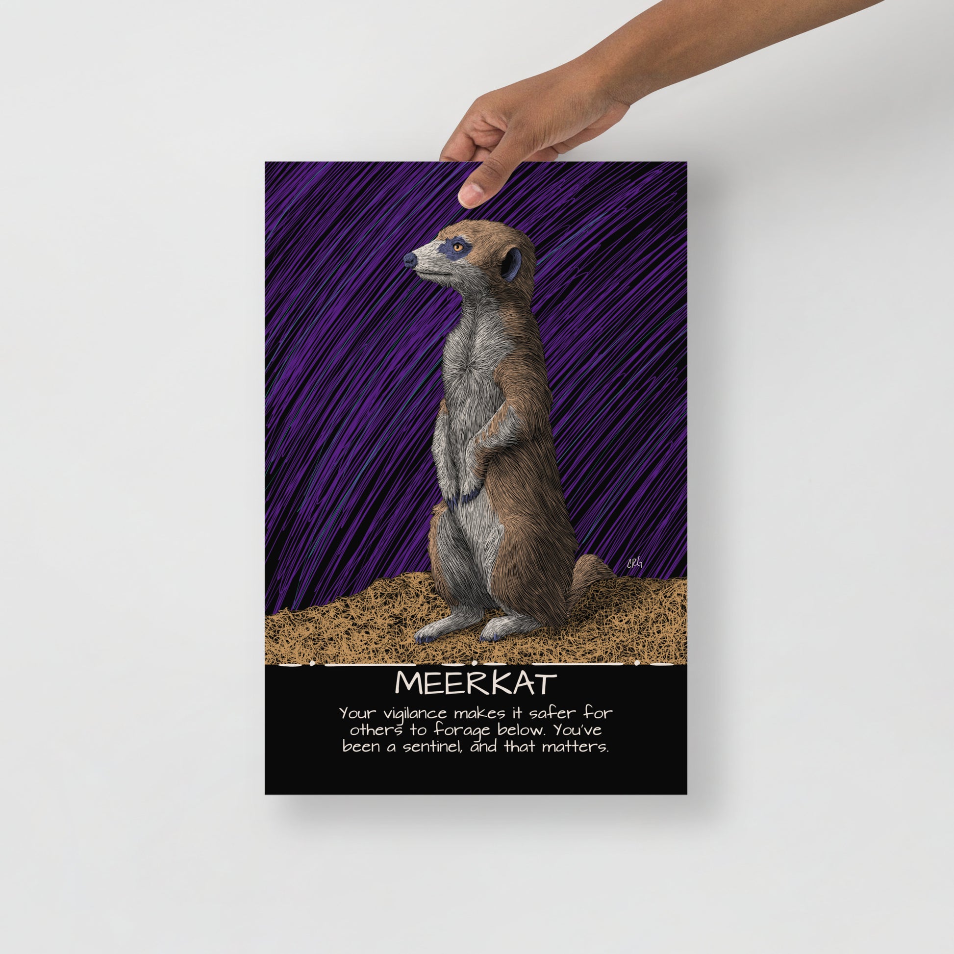 Meerkat Art Print