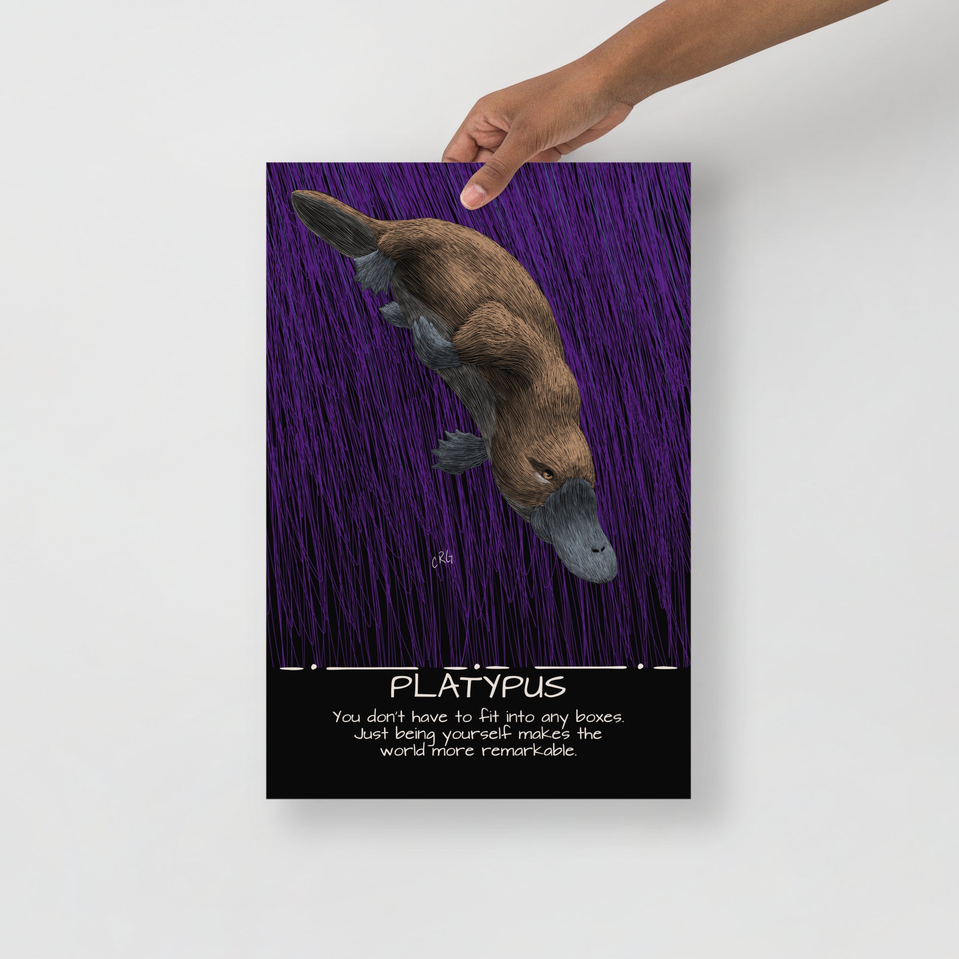 Platypus Art Print