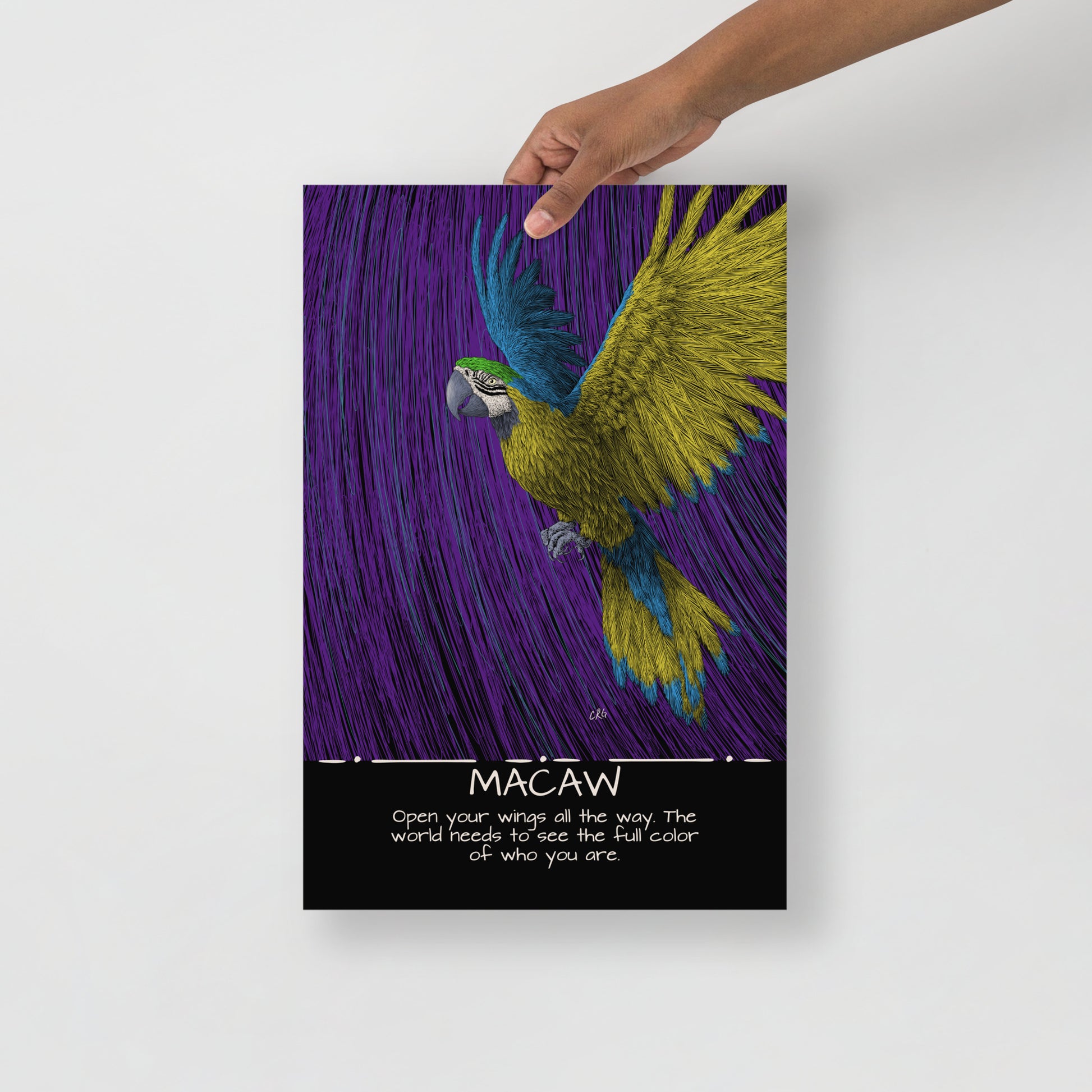 Macaw Art Print