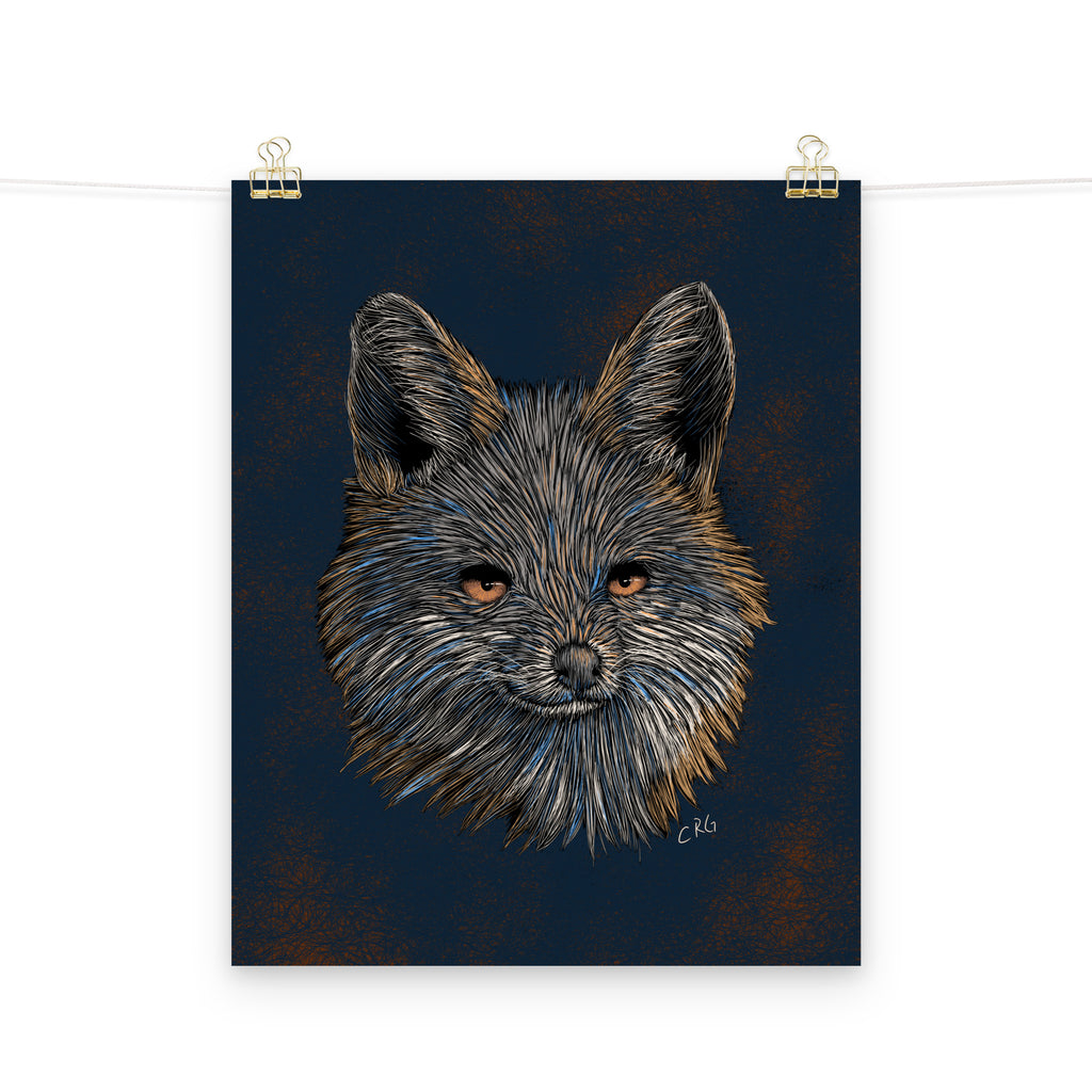 Gray Fox Art Print