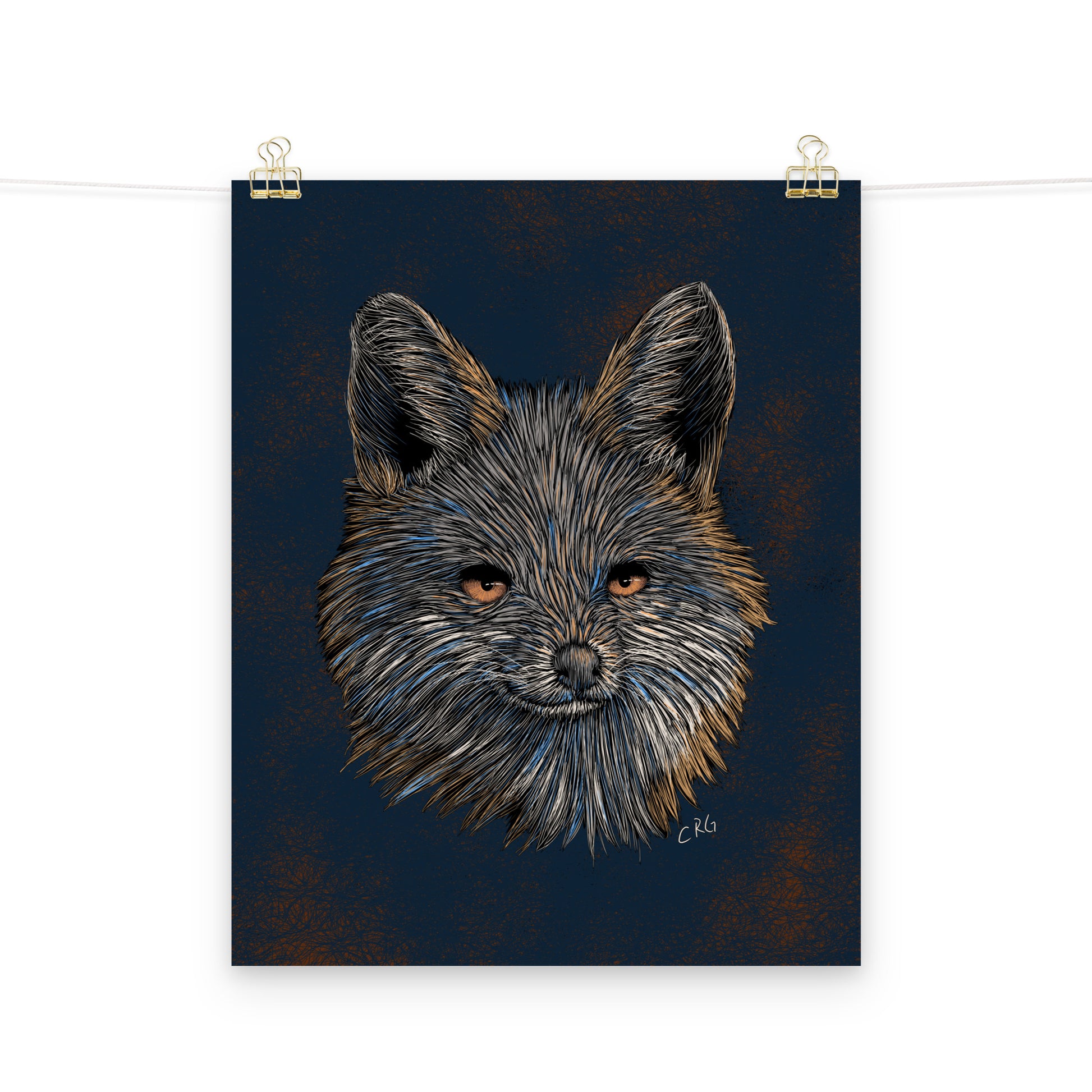 Gray Fox Art Print