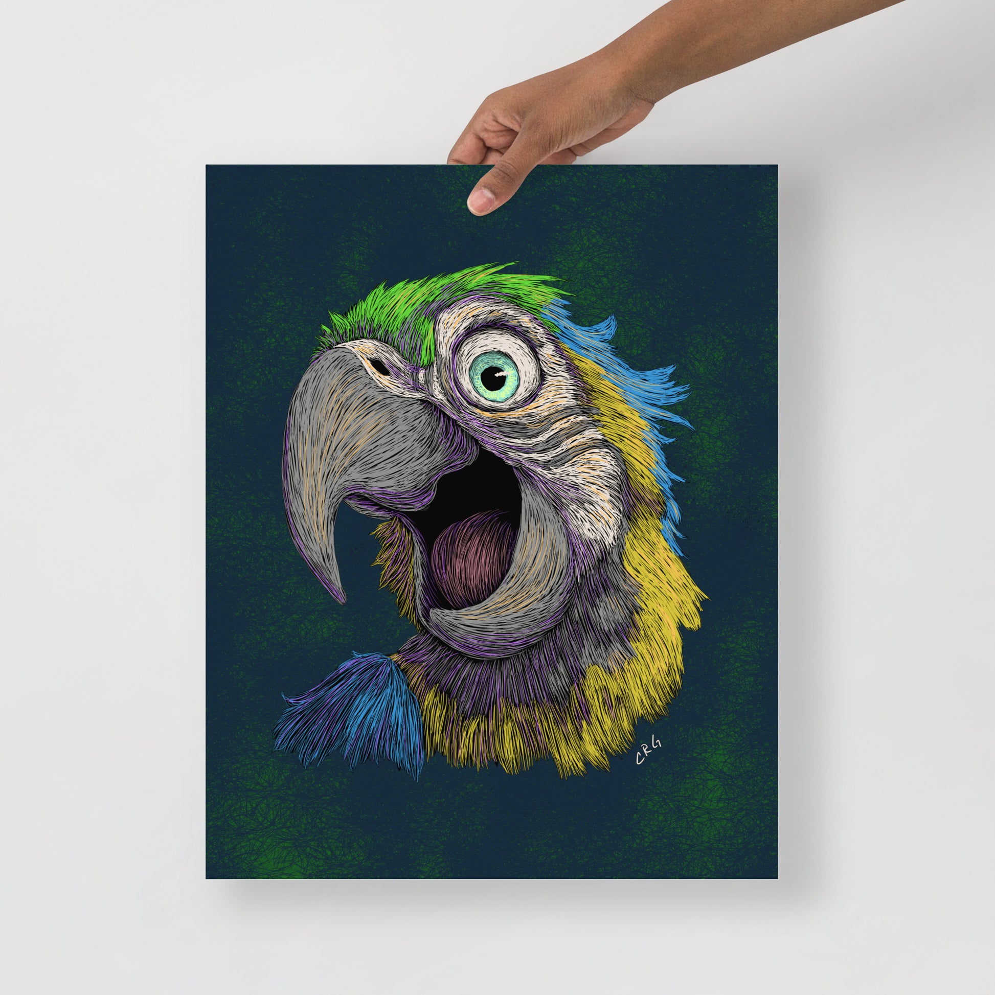 Blue and Gold Macaw Art Print
