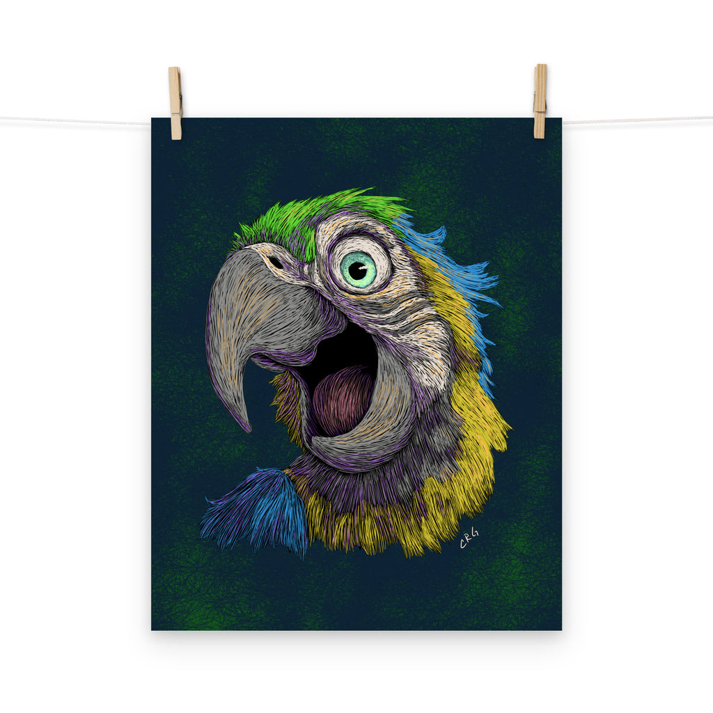 Blue and Gold Macaw Art Print