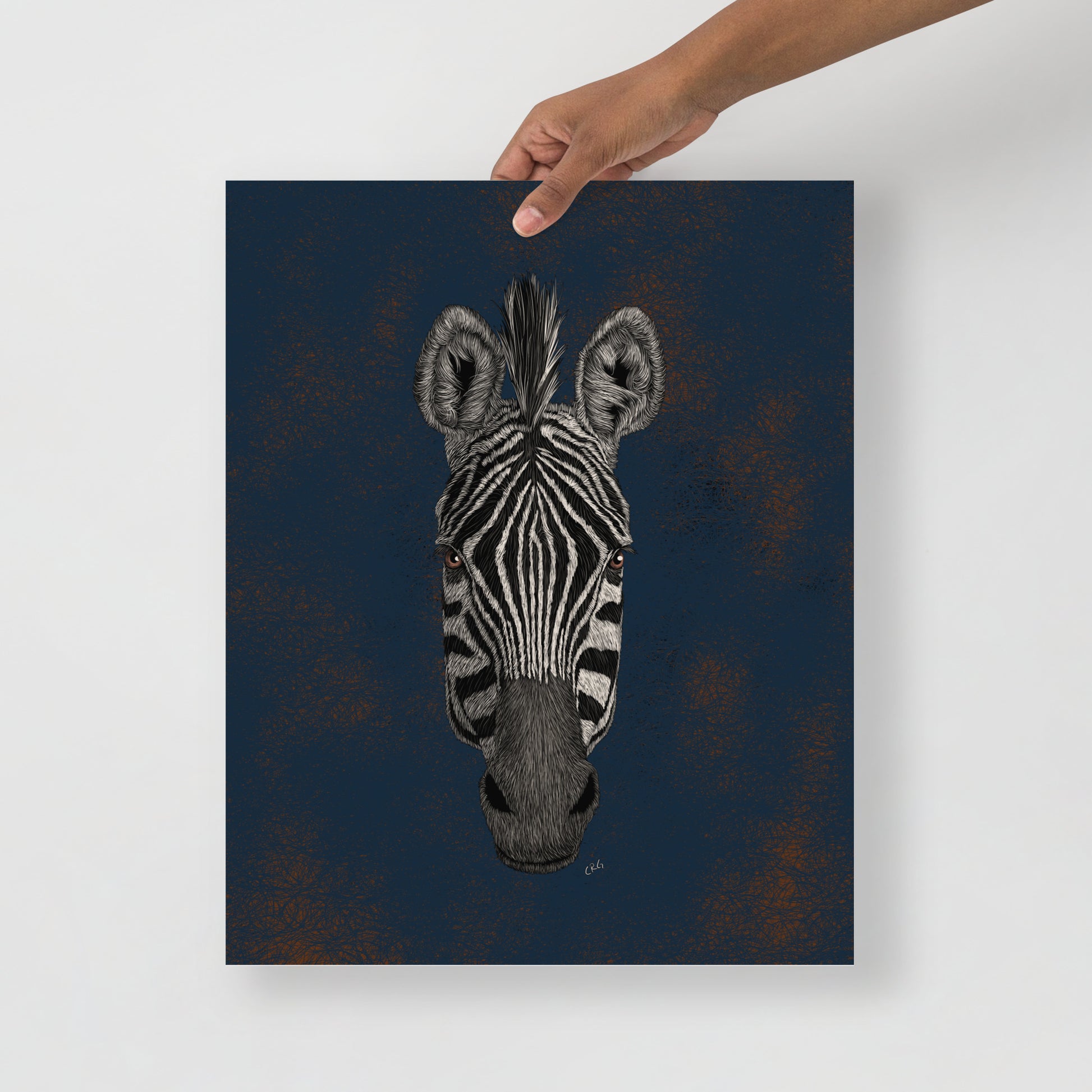 Zebra Art Print