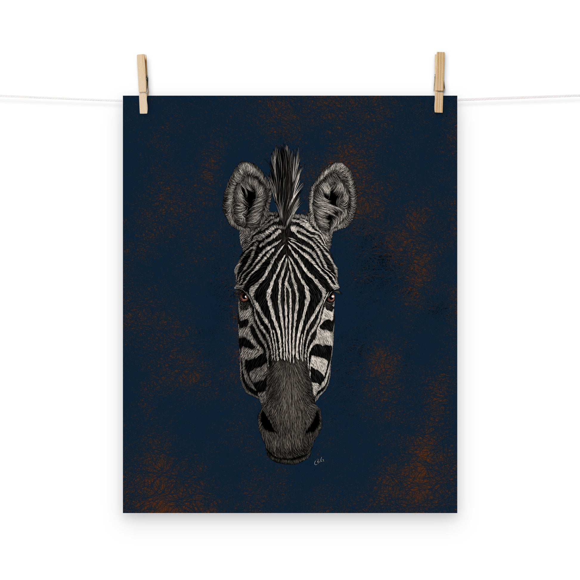 Zebra Art Print