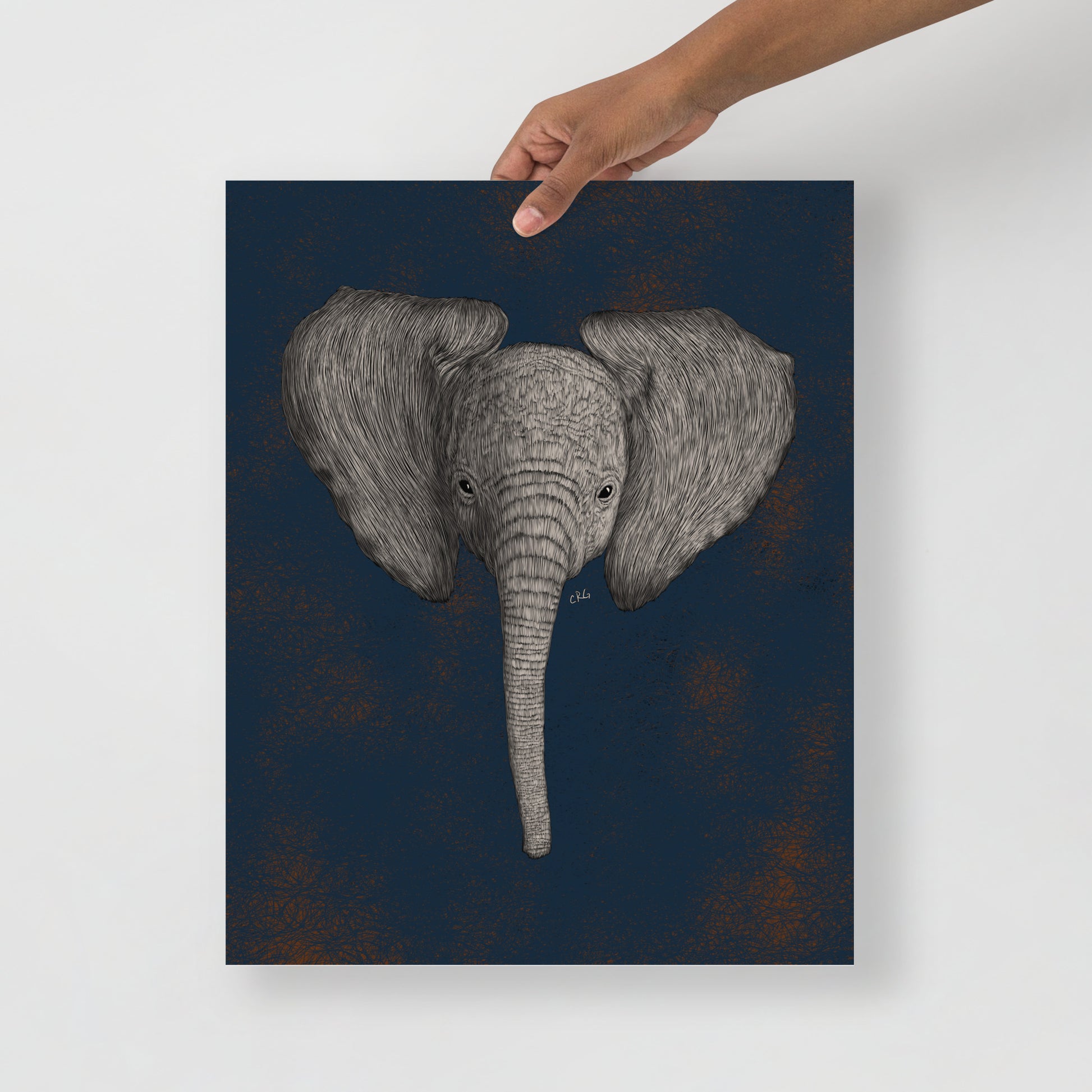 Baby African Elephant Art Print
