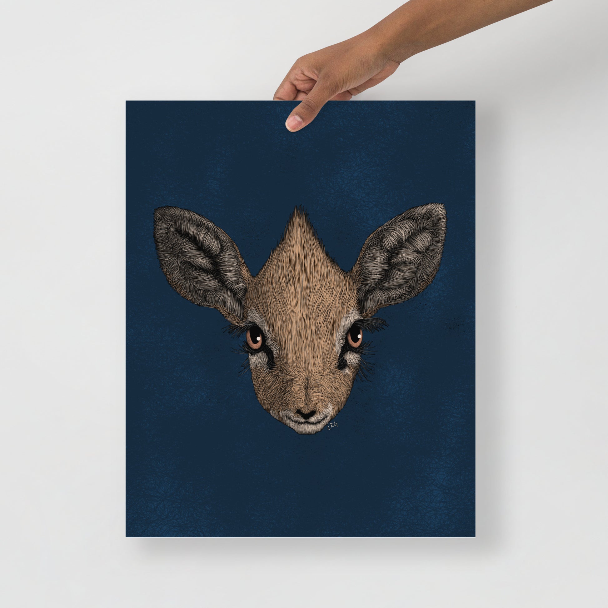 Dik-Dik Art Print