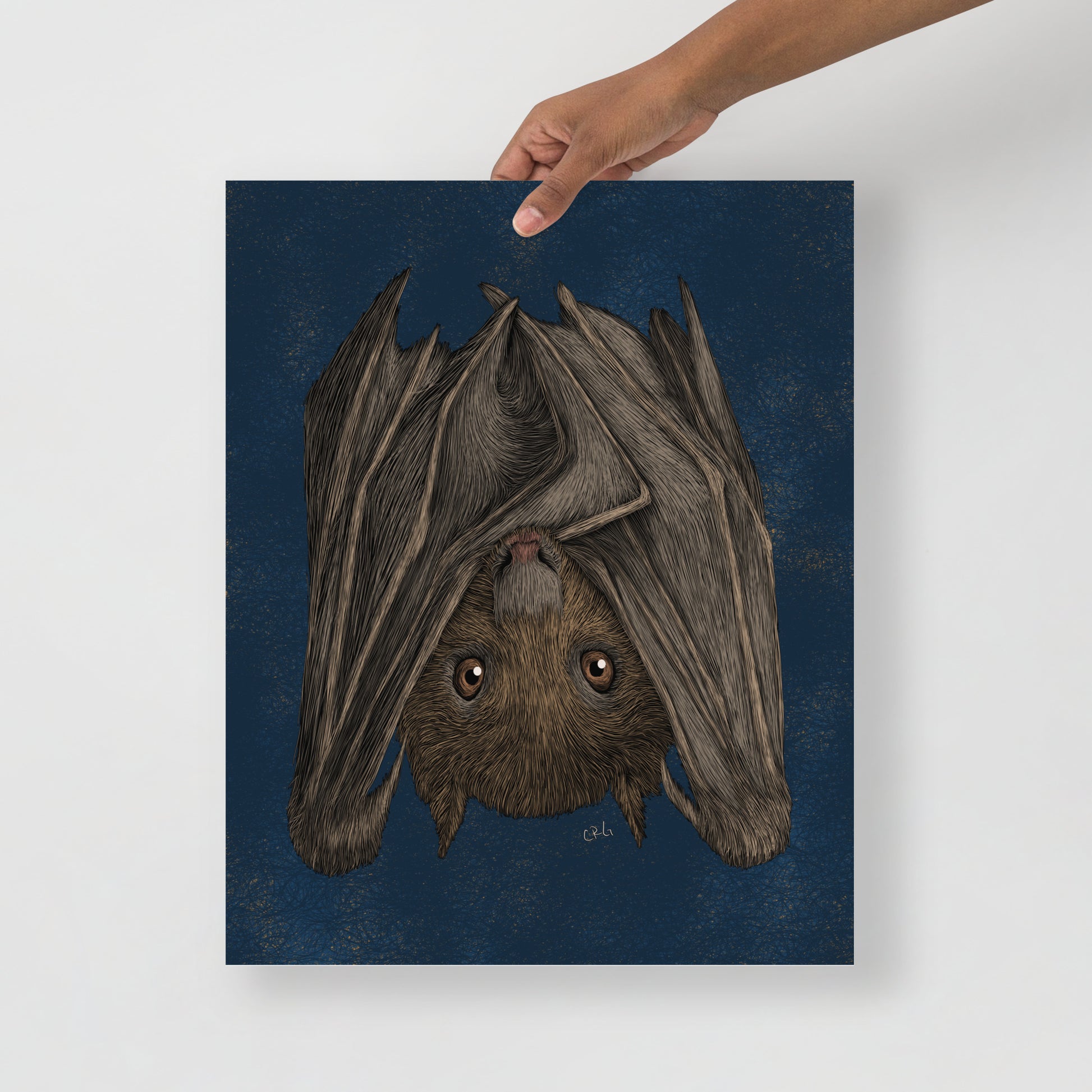 Fruit Bat Art Print
