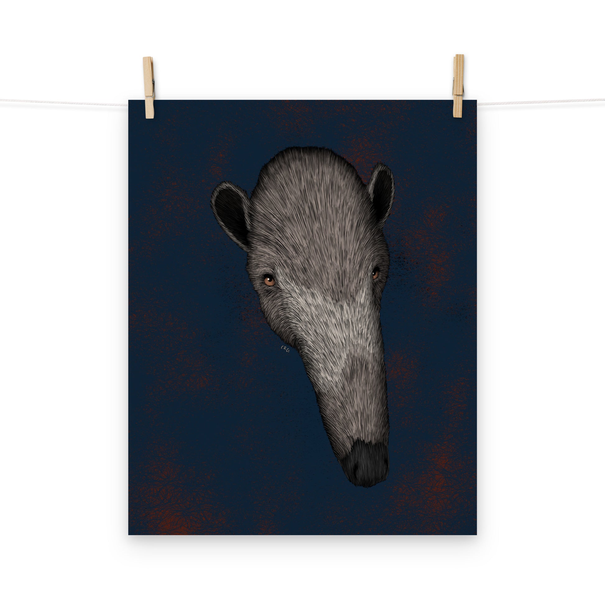 Giant Anteater Art Print