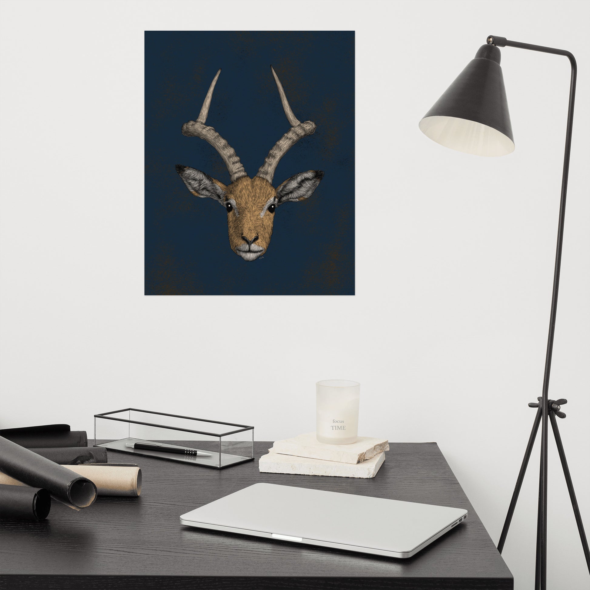 Impala Antelope Art Print