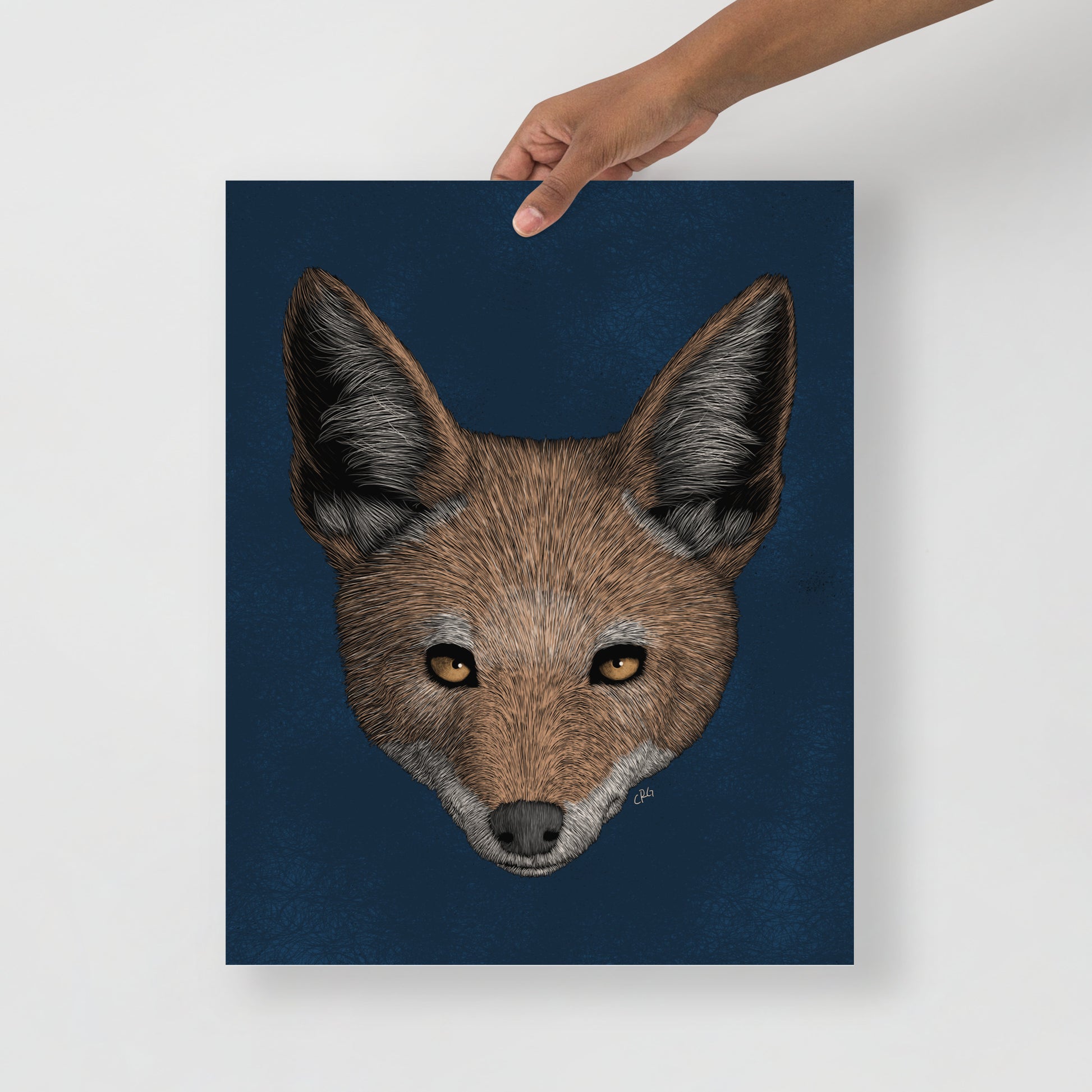 Jackal Art Print