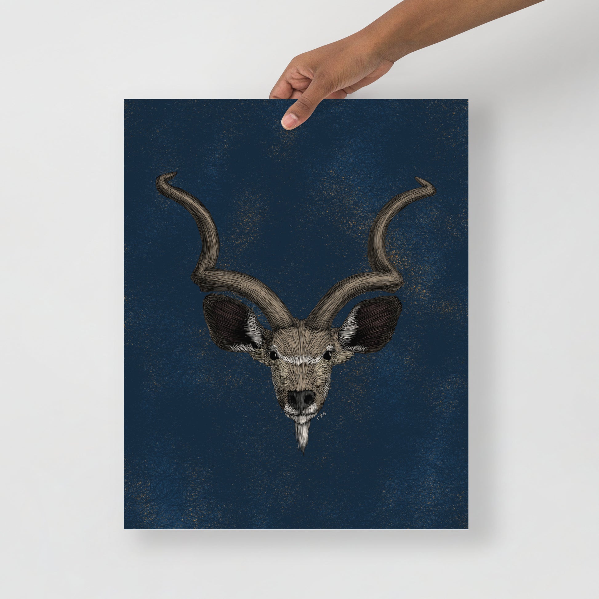 Kudu Art Print