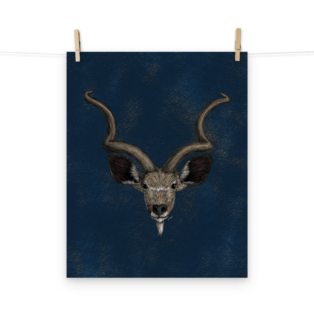 Kudu Art Print