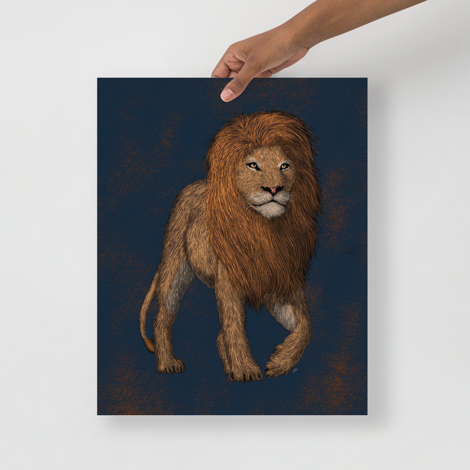 Lion Art Print