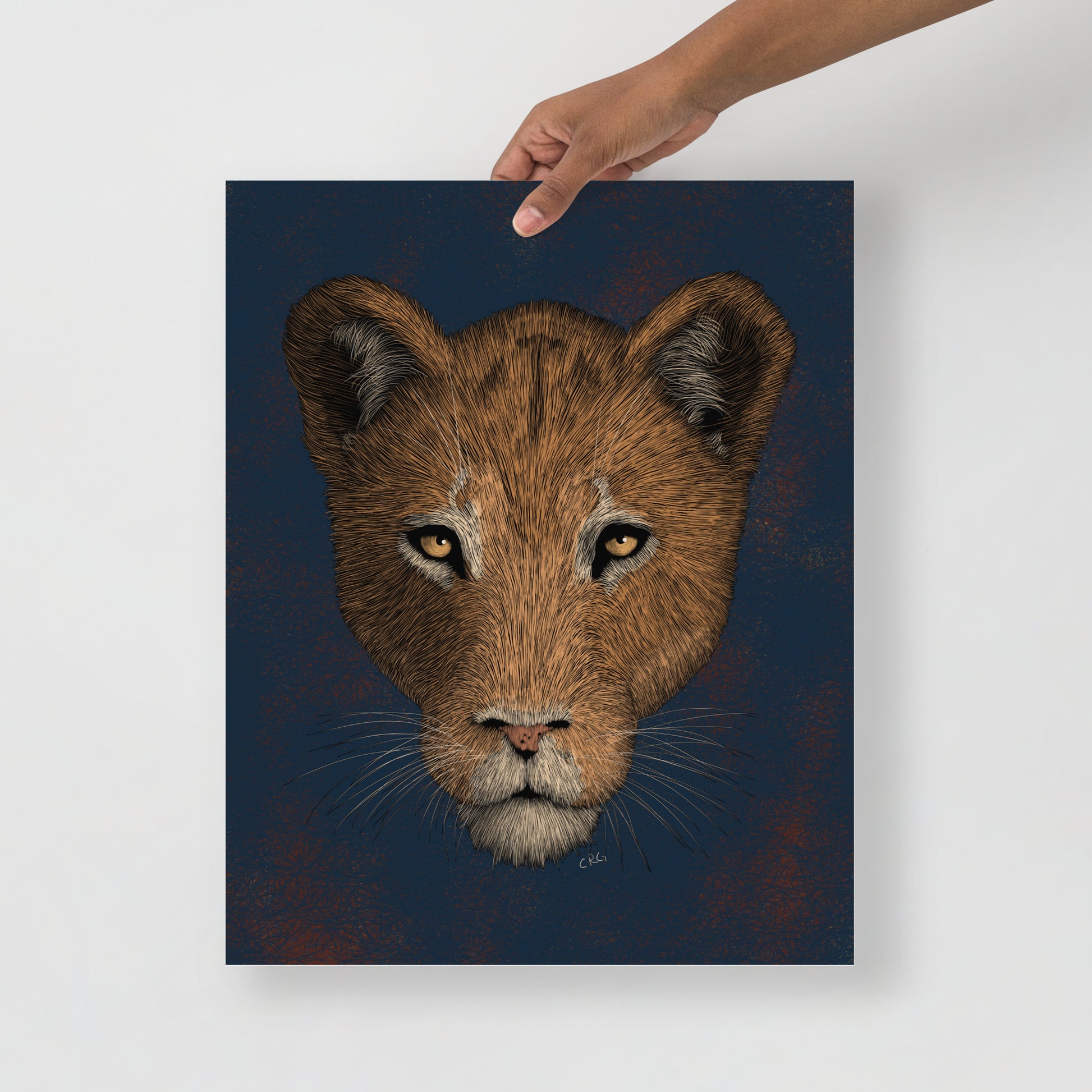 Lioness Art Print