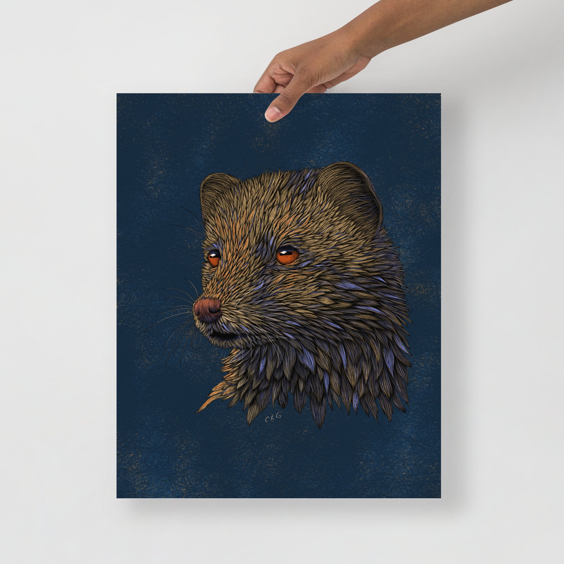 Mongoose Art Print