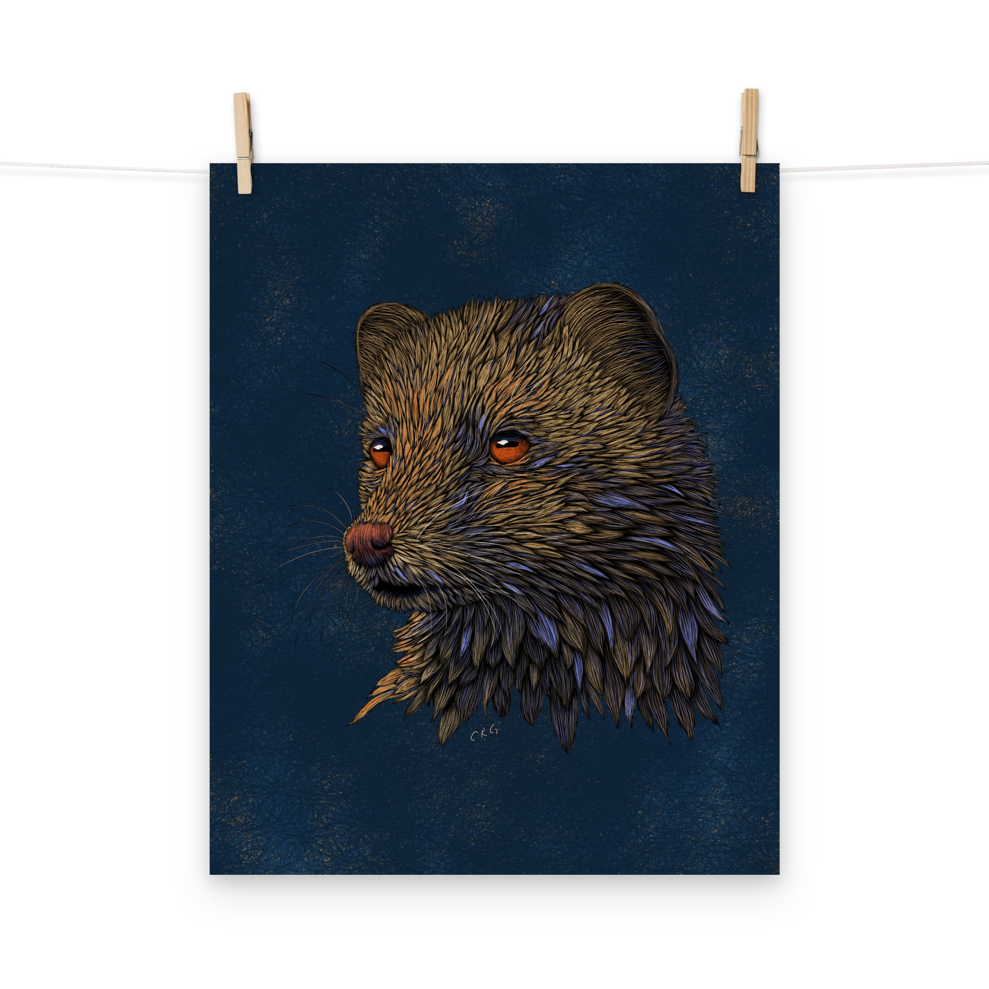 Mongoose Art Print