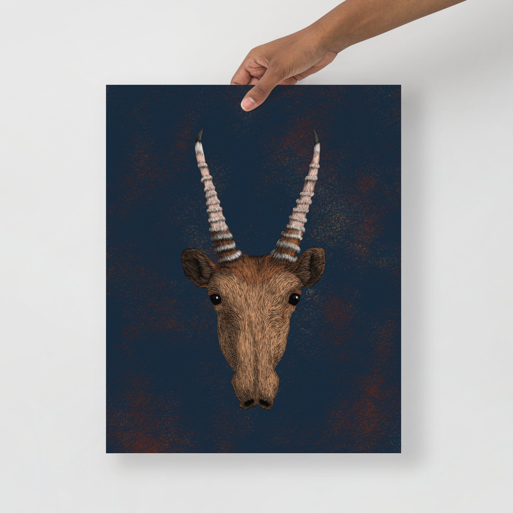 Saiga Antelope Art Print
