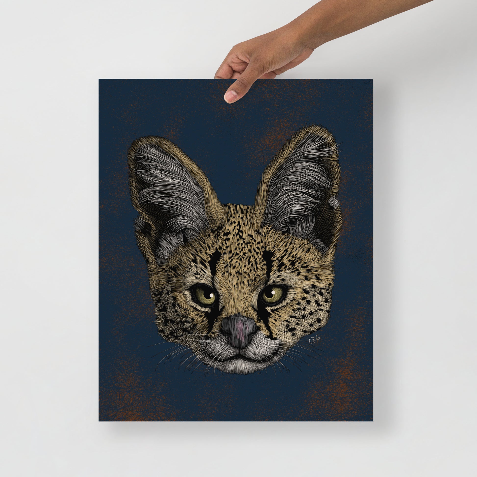 Serval Art Print