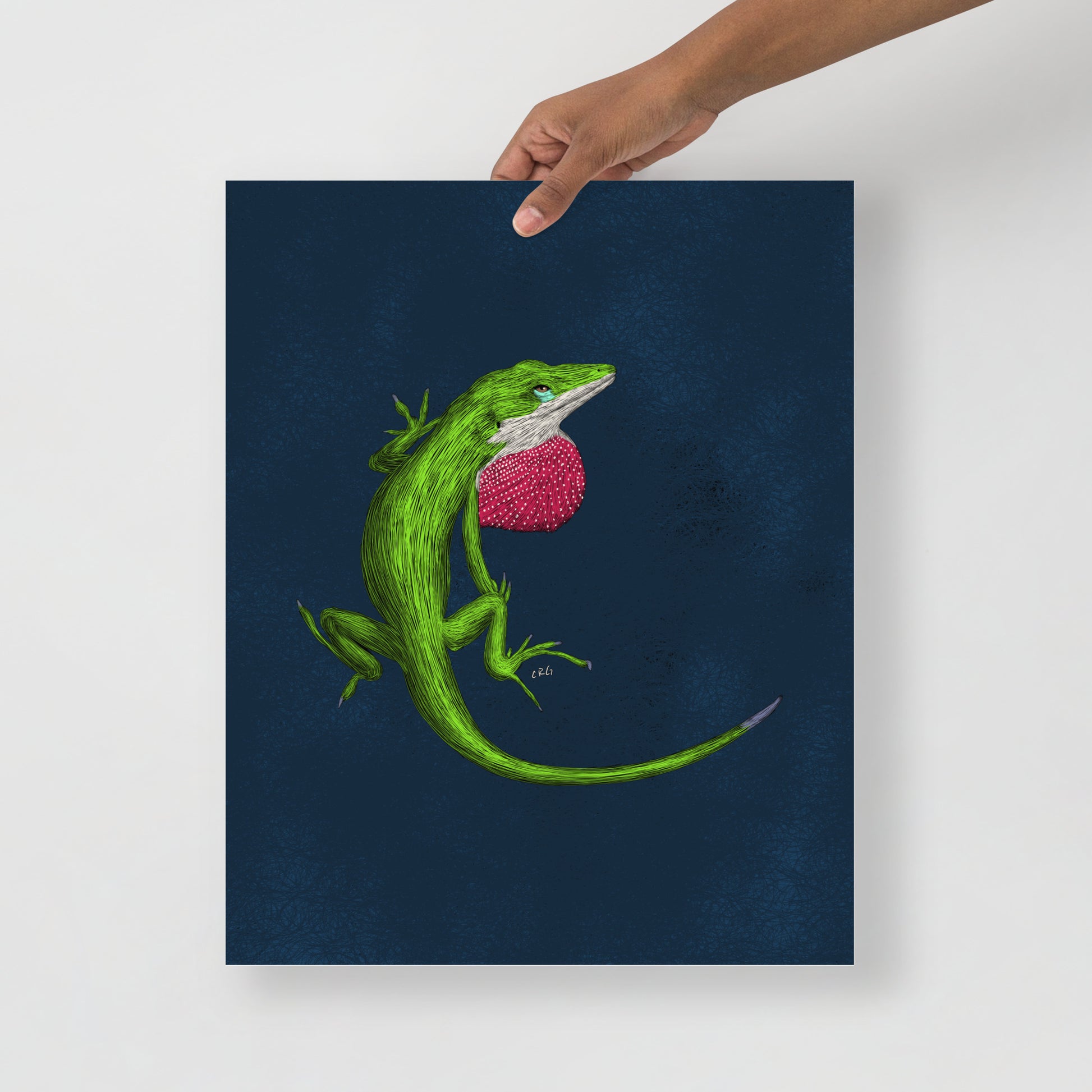 Anole Art Print