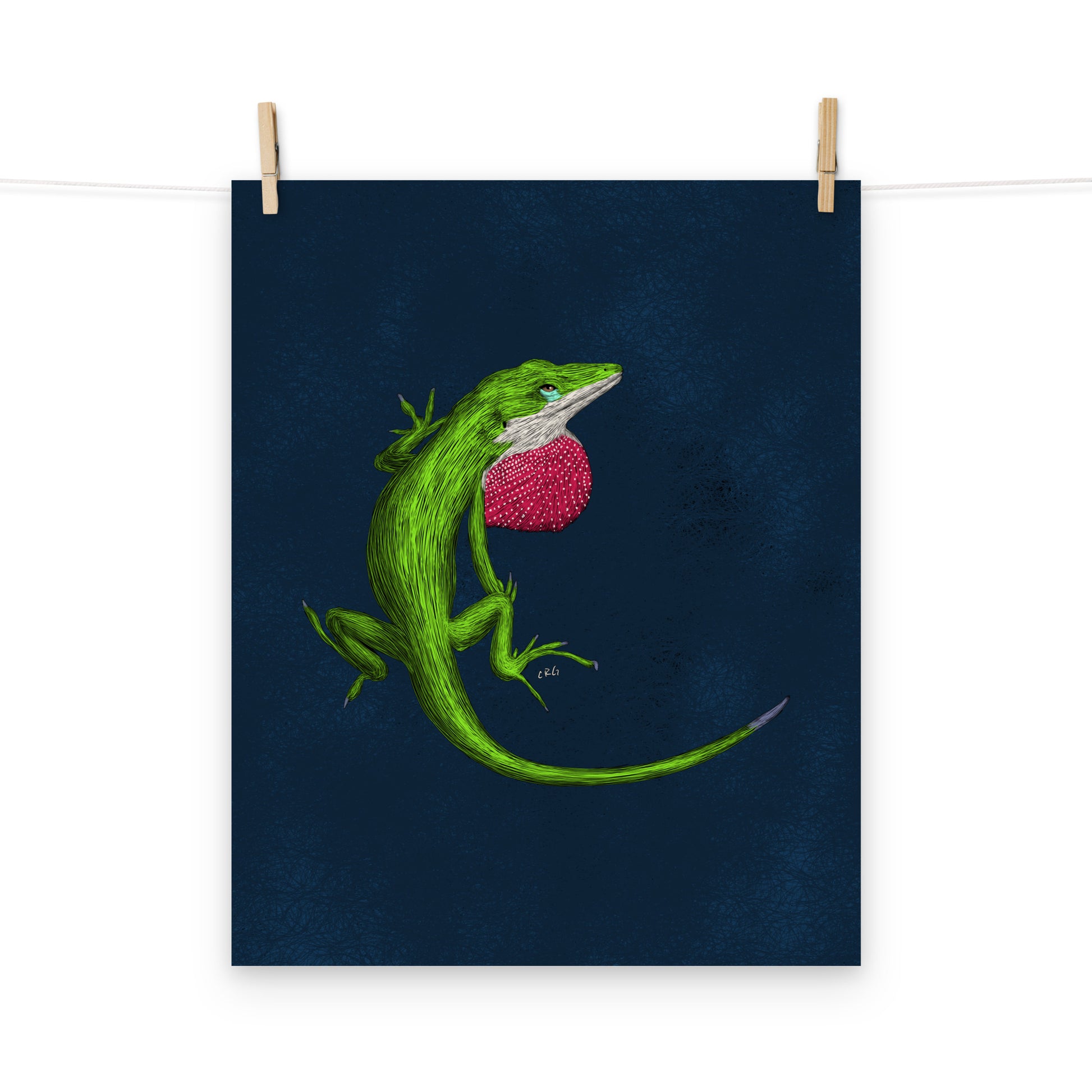 Anole Art Print