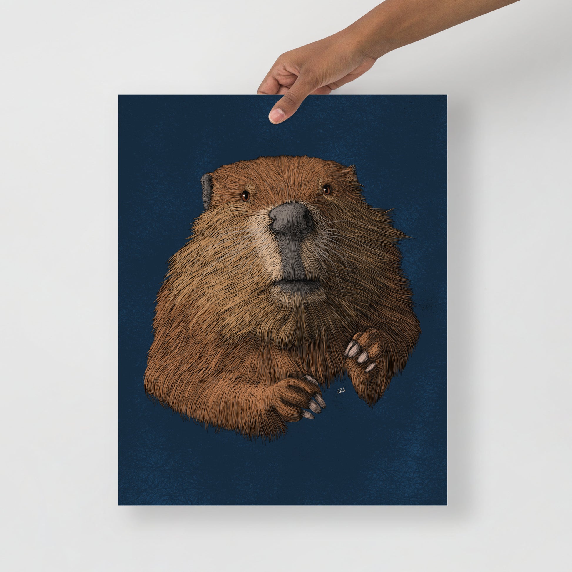 Beaver Art Print