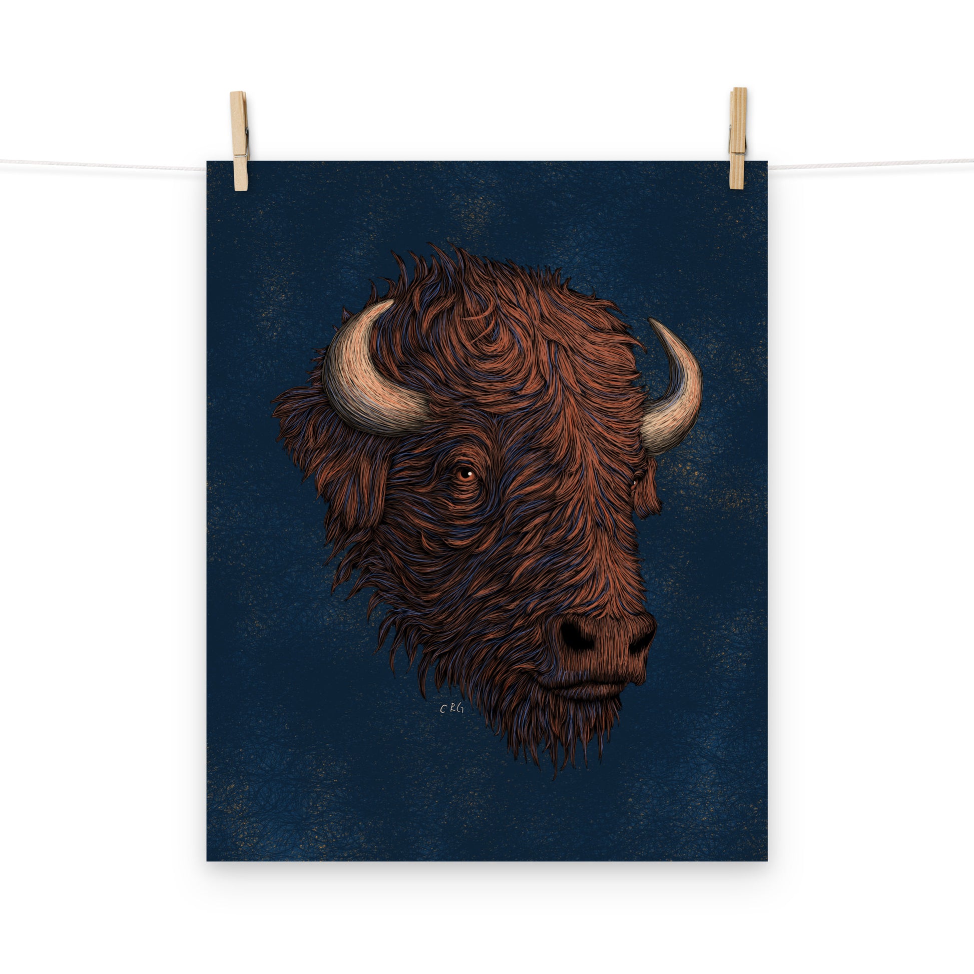 Stylized Bison Art Print