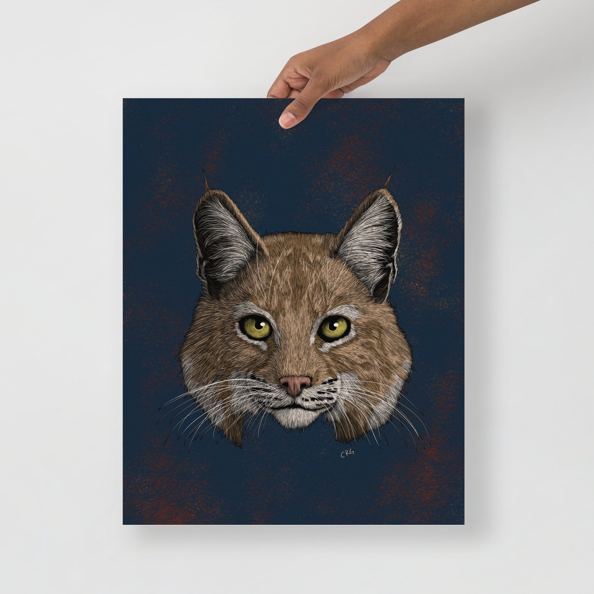 Bobcat Art Print