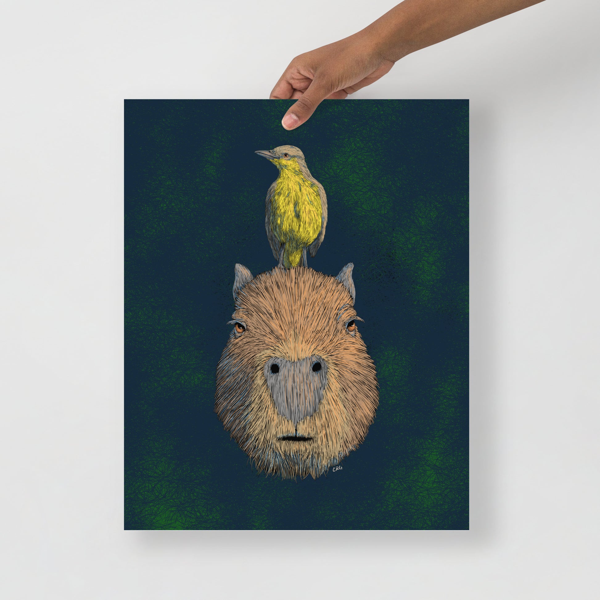 Capybara and Cattle Tyrant Art Print
