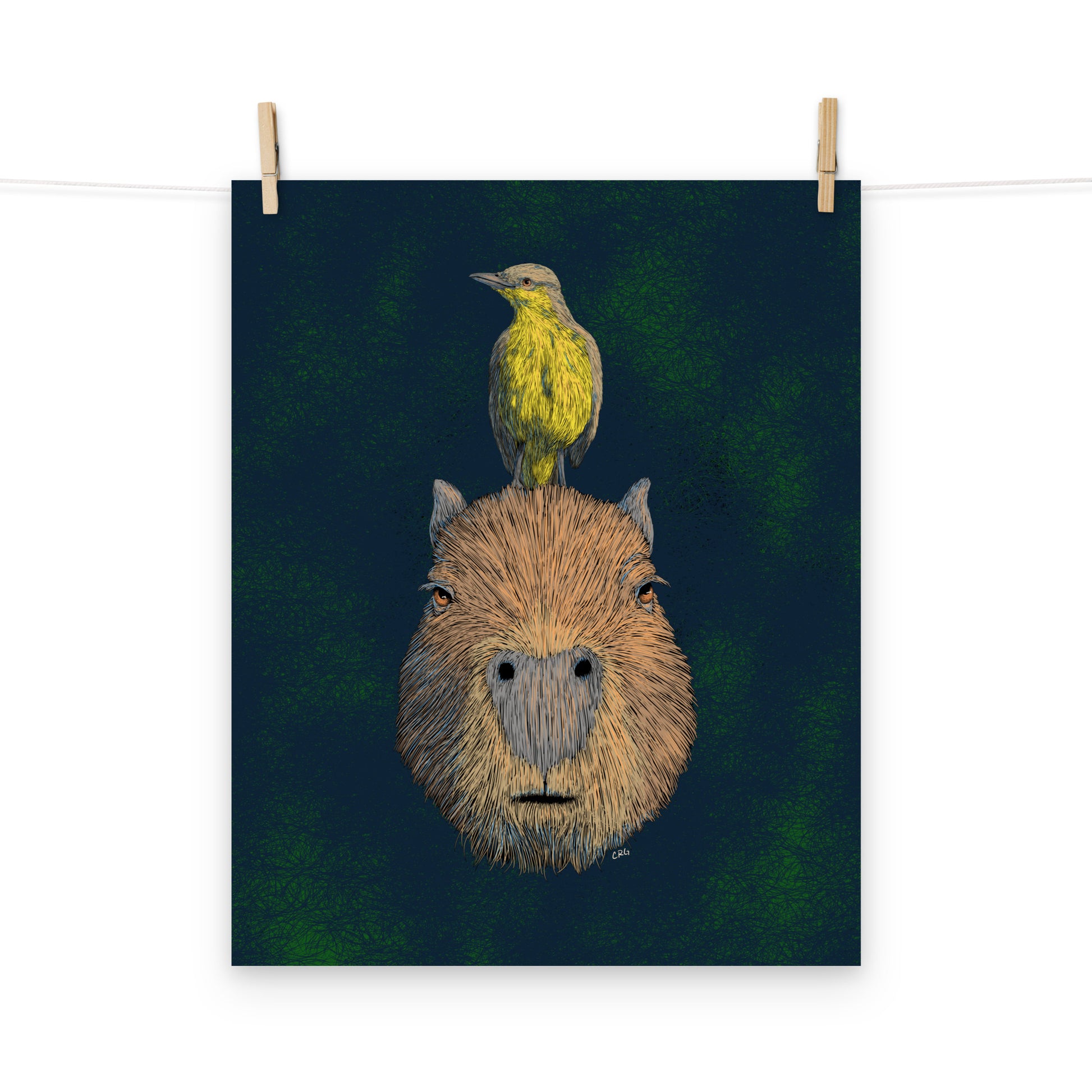 Capybara and Cattle Tyrant Art Print