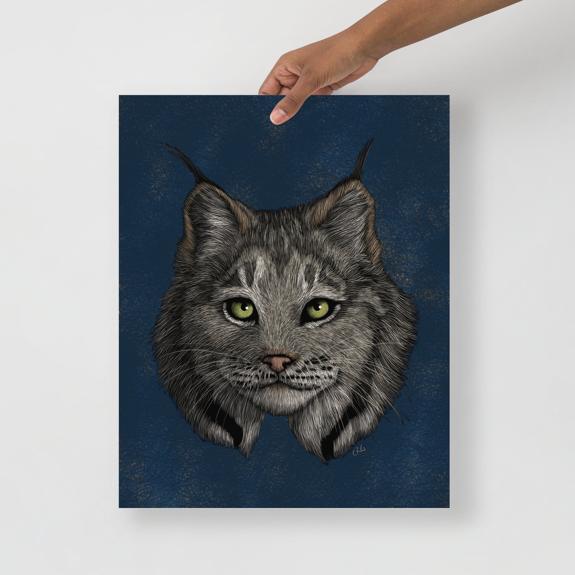 Lynx Art Print