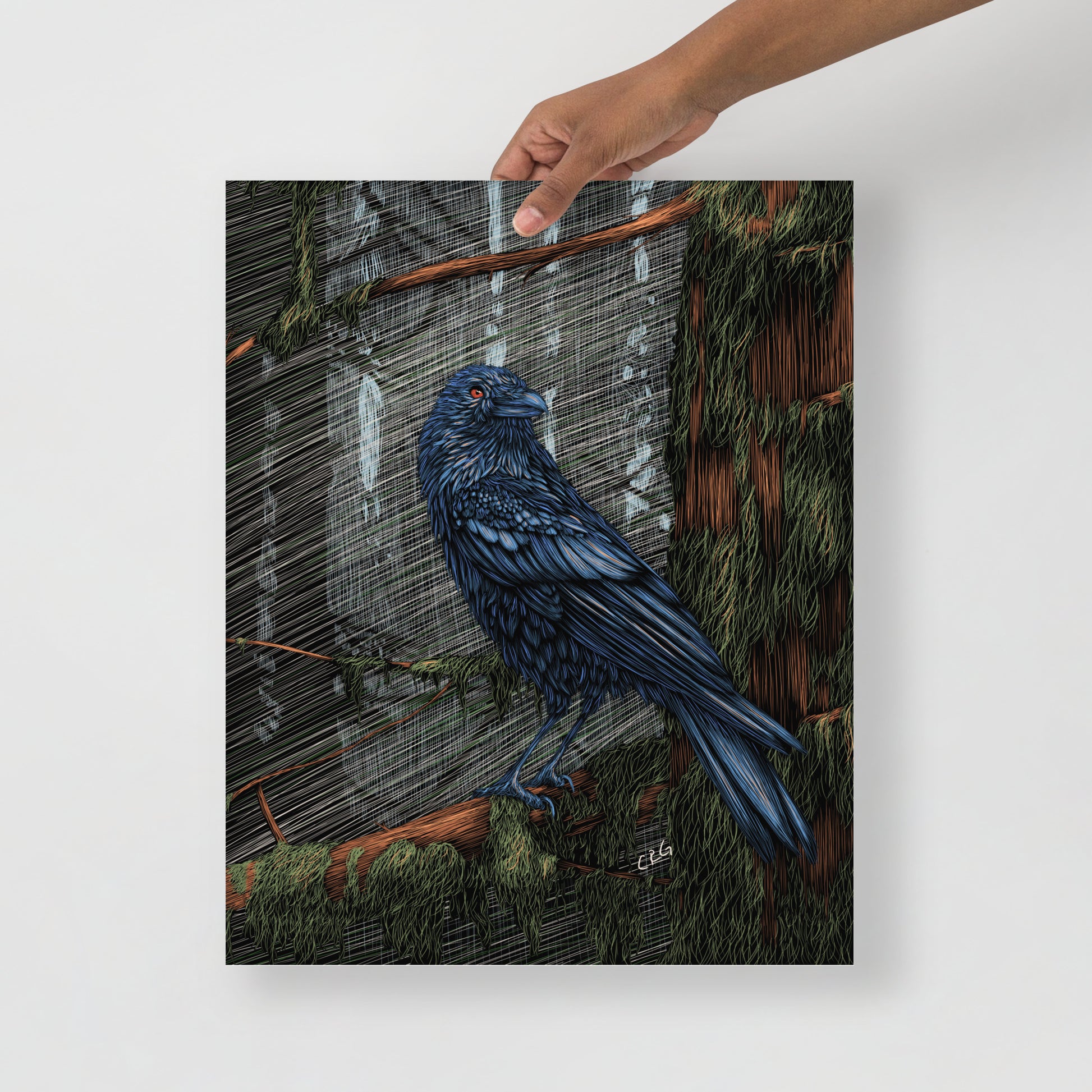 Mysterious Raven Art Print