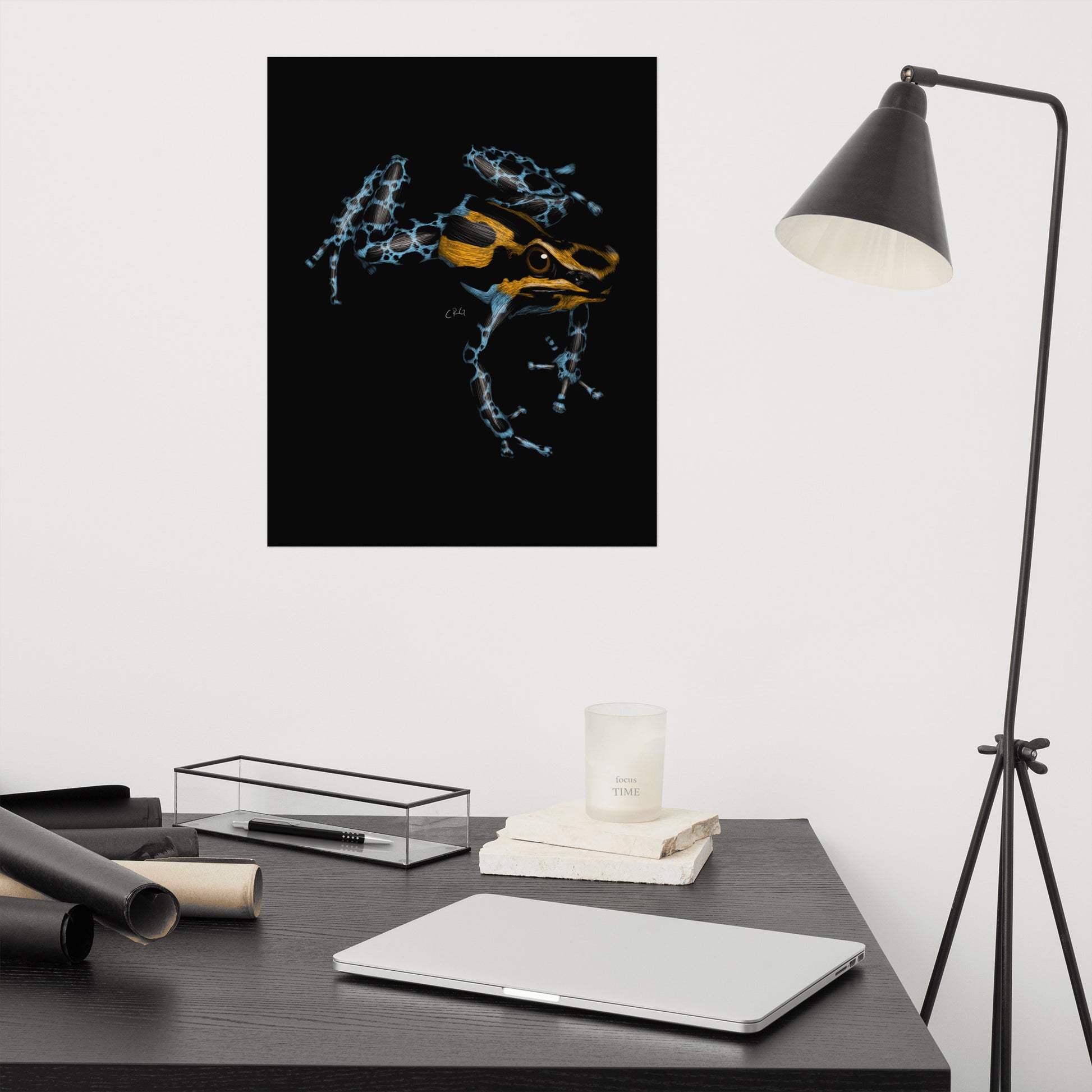 Poison Dart Frog Art Print