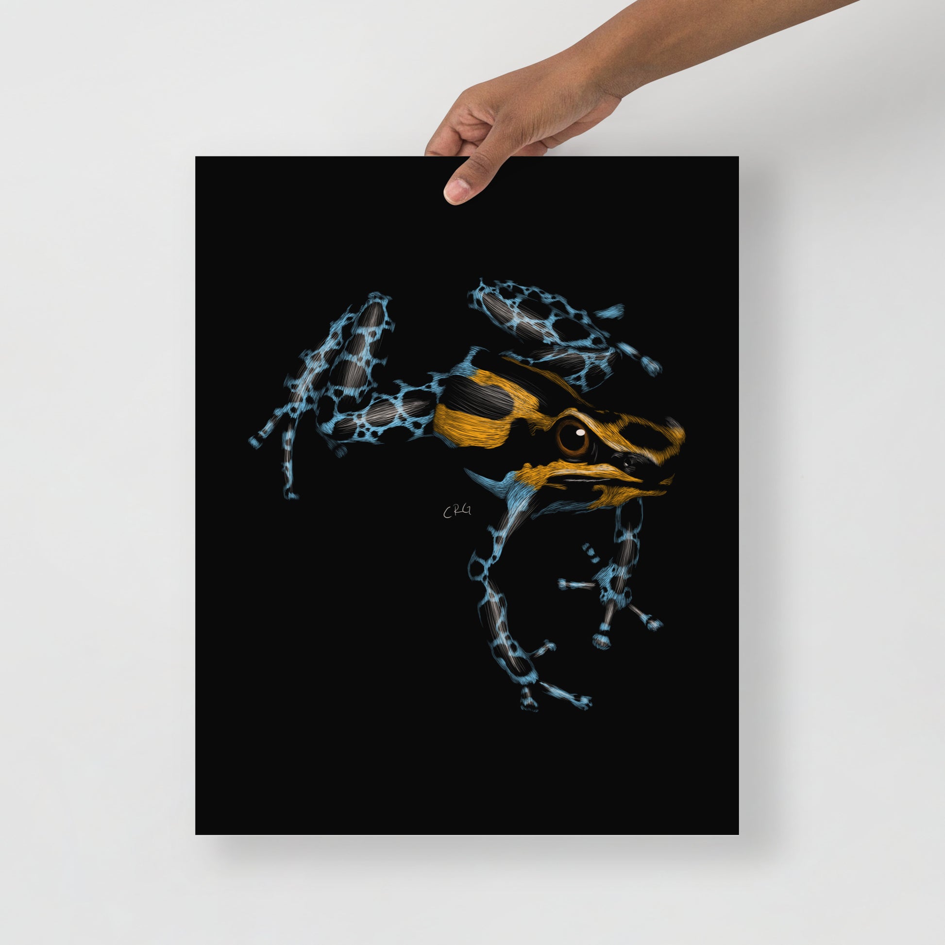 Poison Dart Frog Art Print