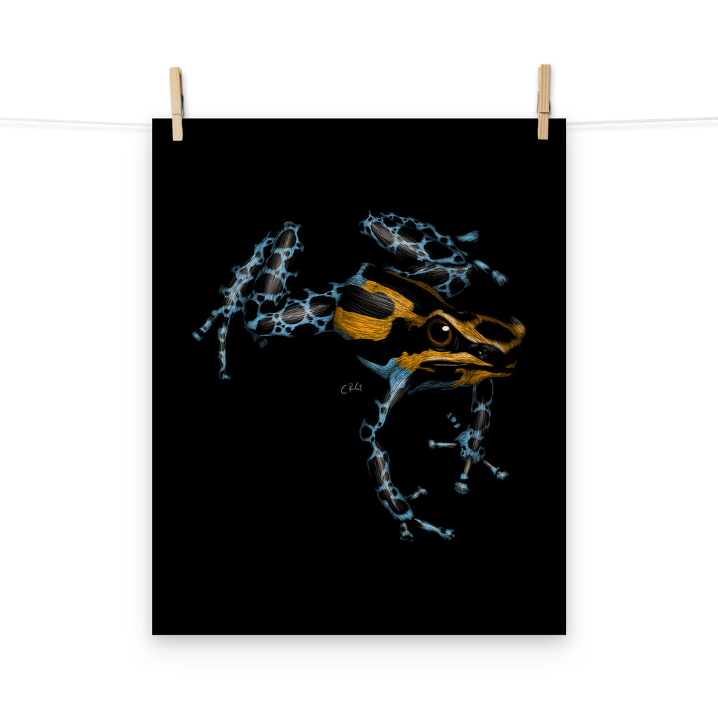 Poison Dart Frog Art Print