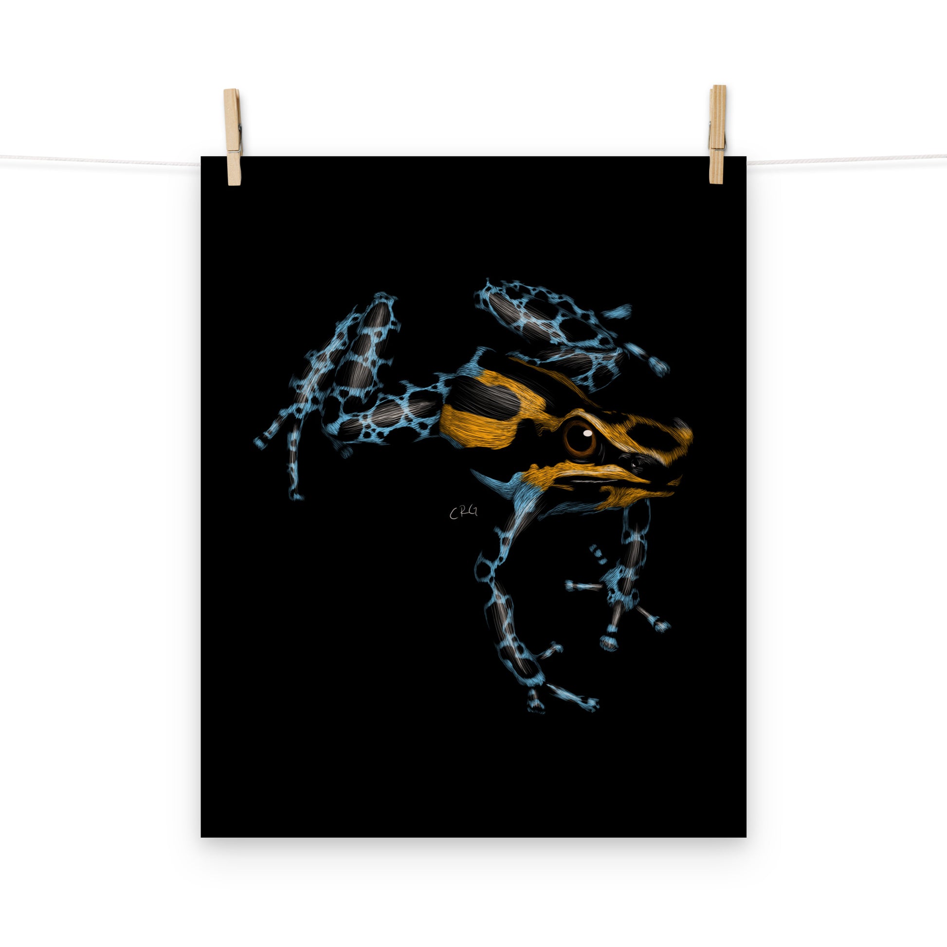 Poison Dart Frog Art Print