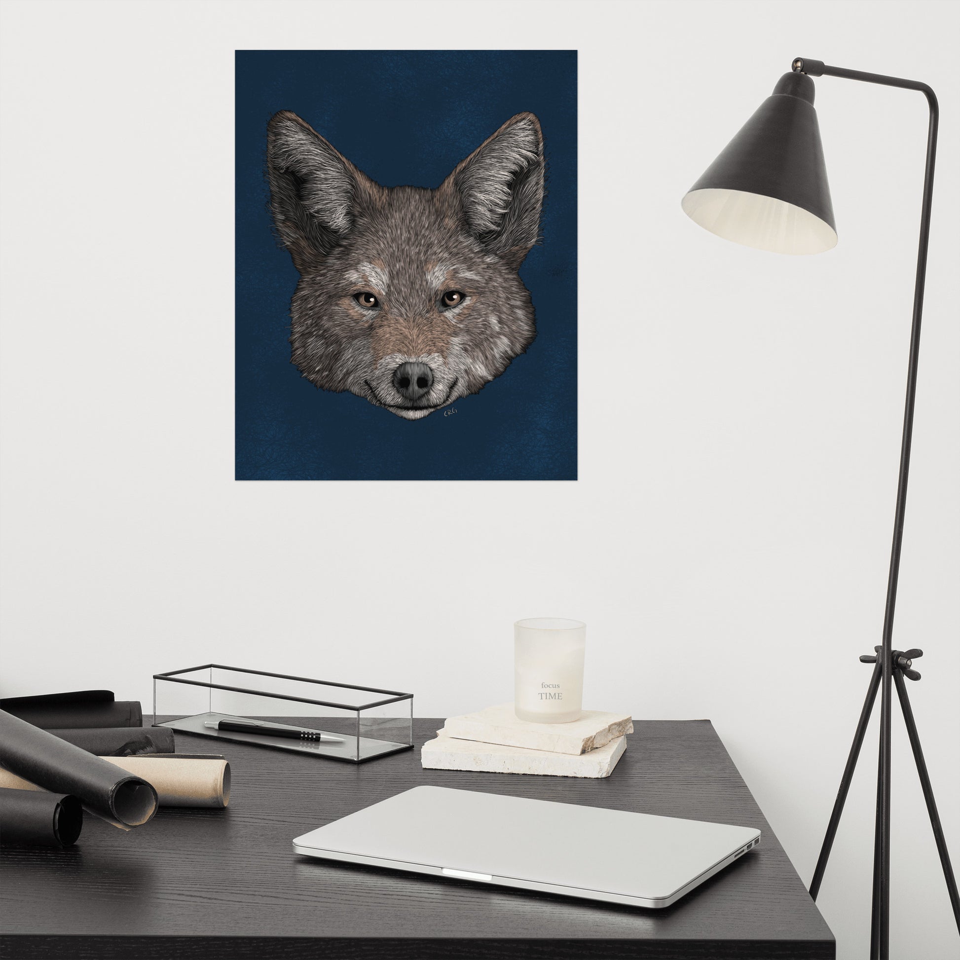 Coyote Art Print