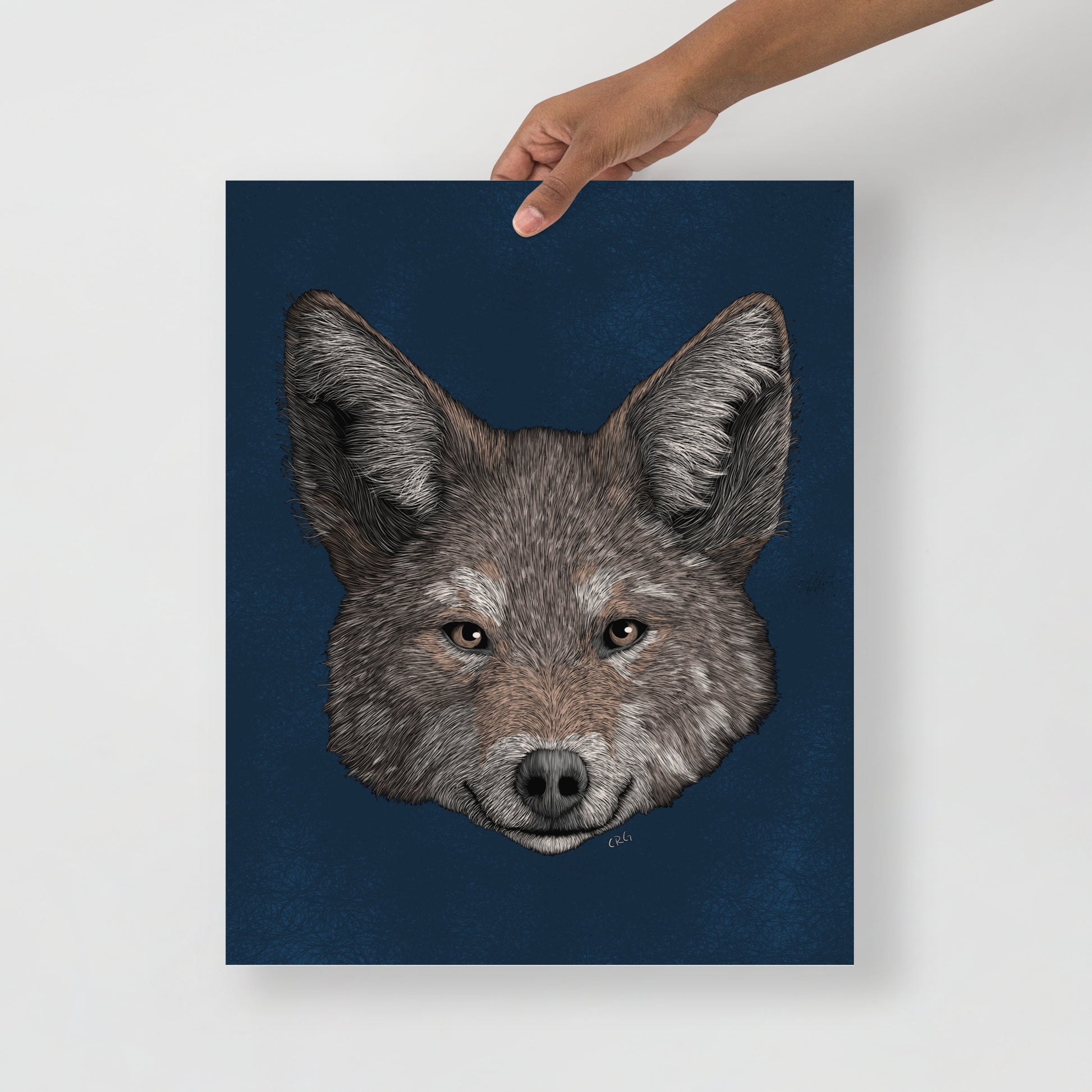 Coyote Art Print