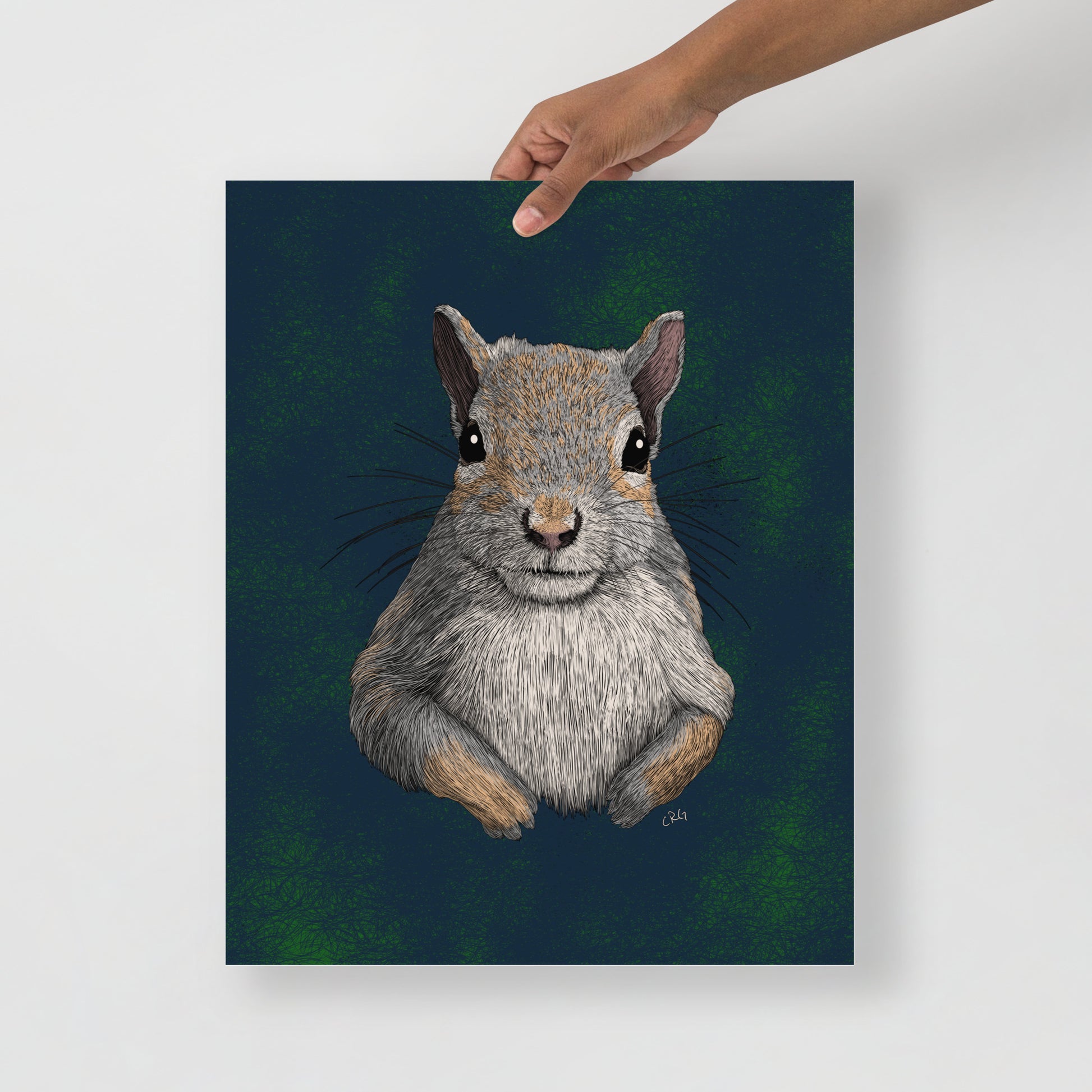 Squirrel Art Print