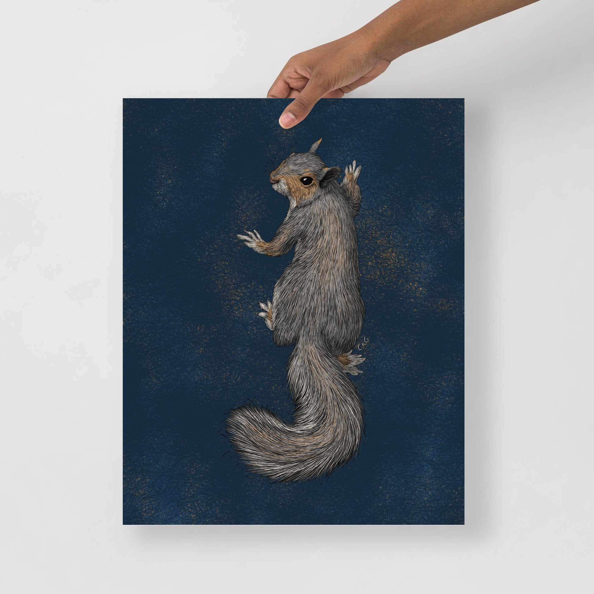 Climbing Squirrel Art Print