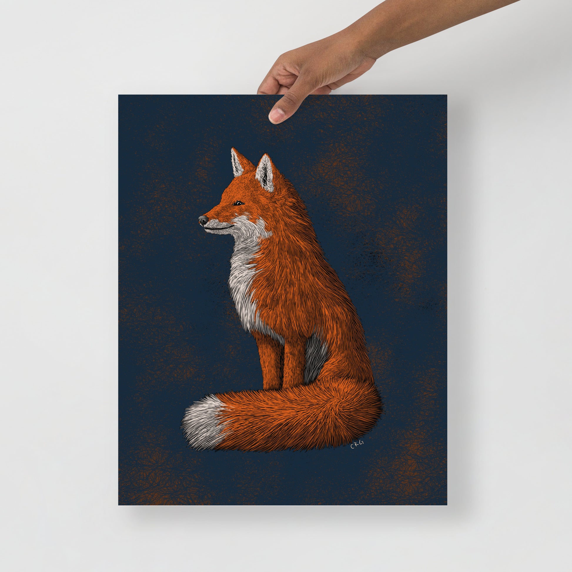 Red Fox Art Print