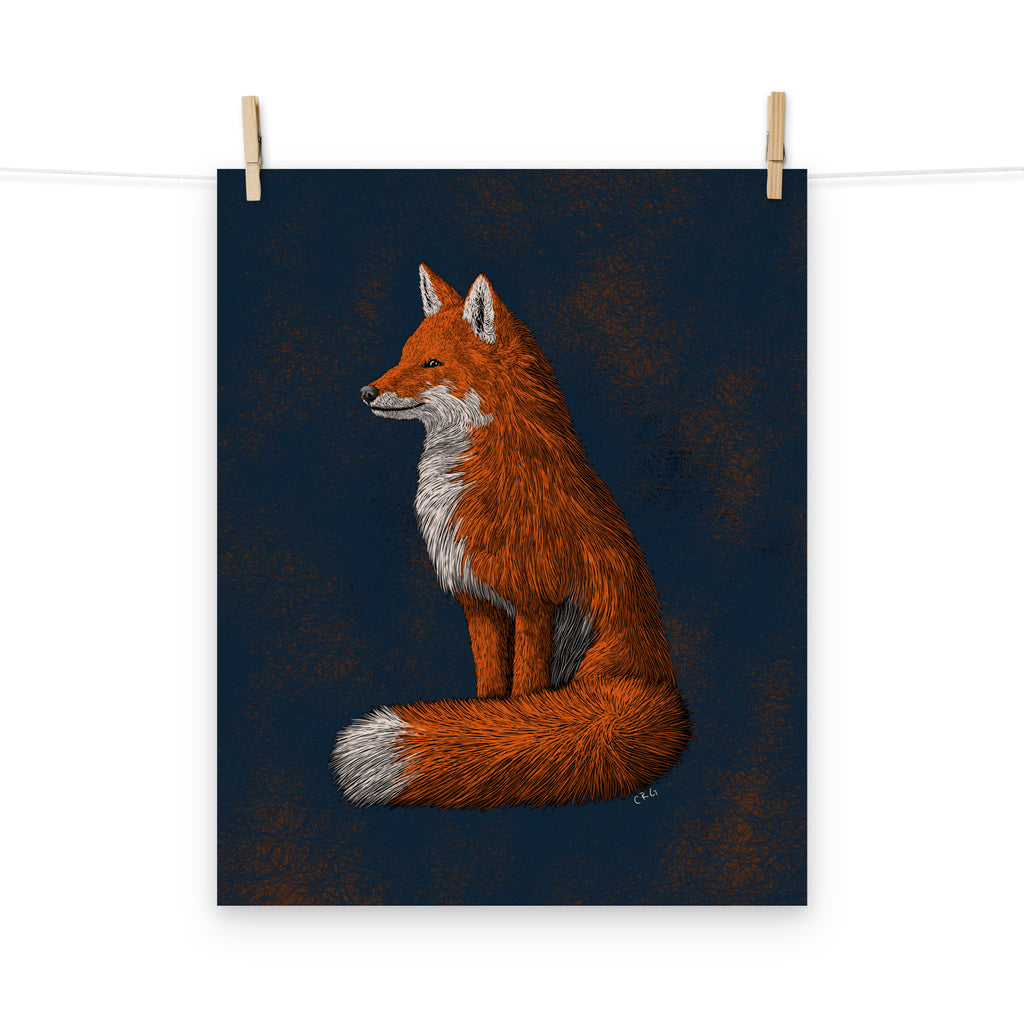 Red Fox Art Print