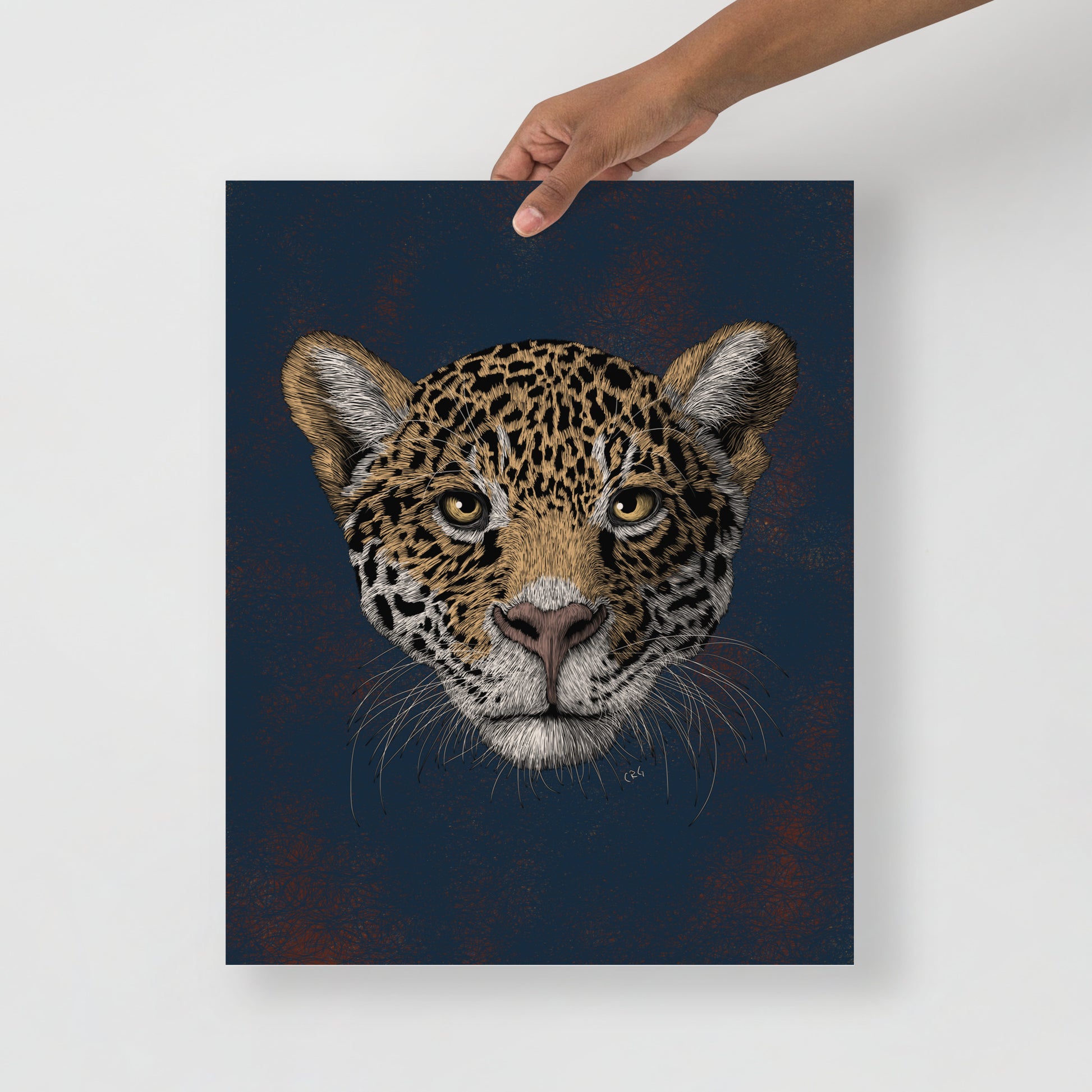 Jaguar Art Print
