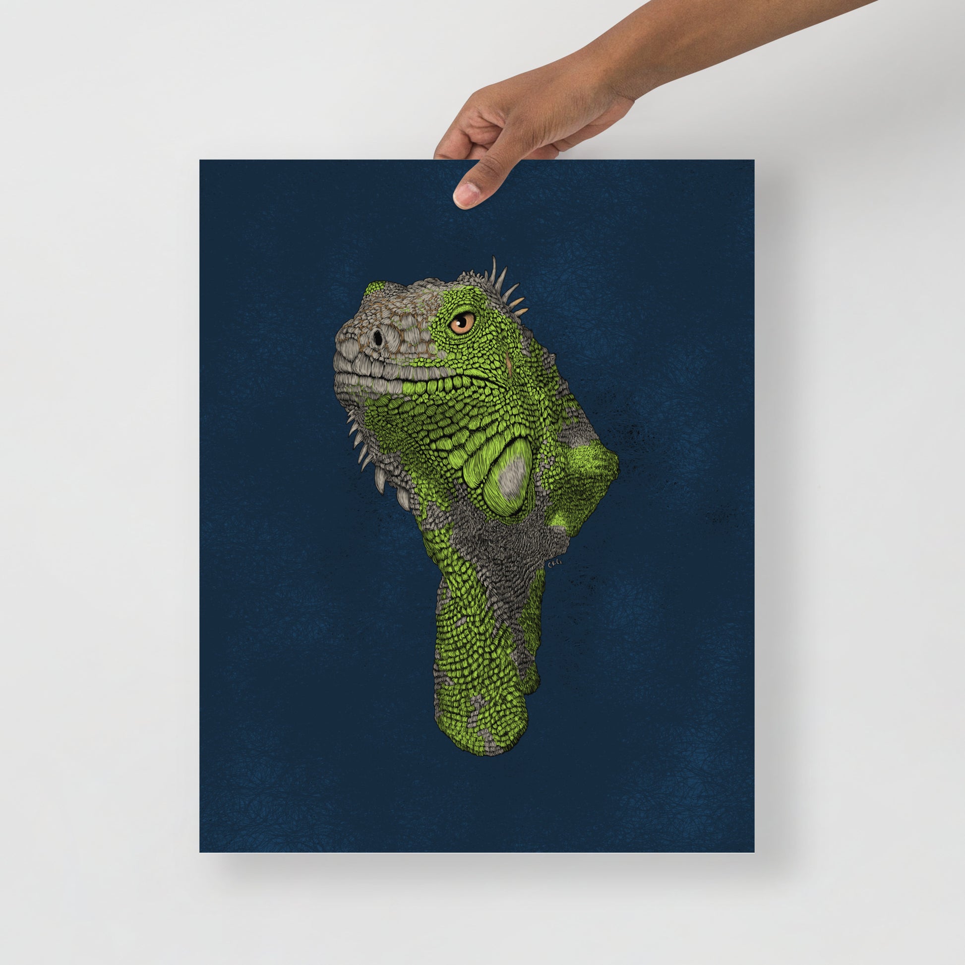 Iguana Art Print